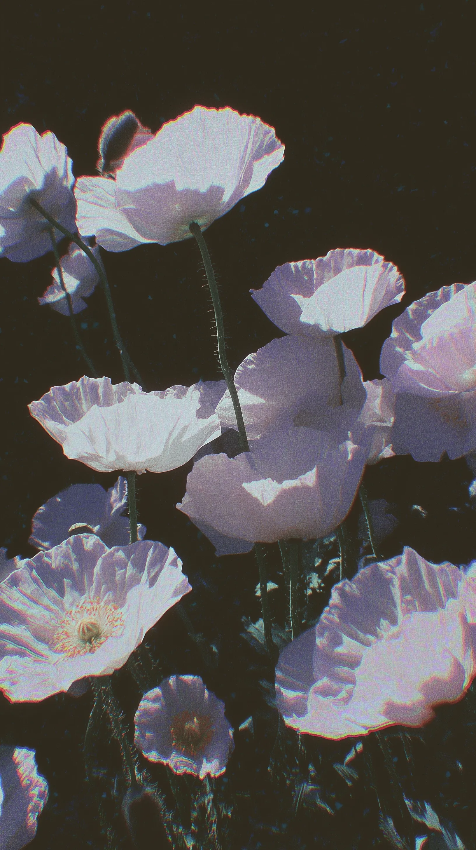 Aesthetic Lock Screen Wallpaper 57