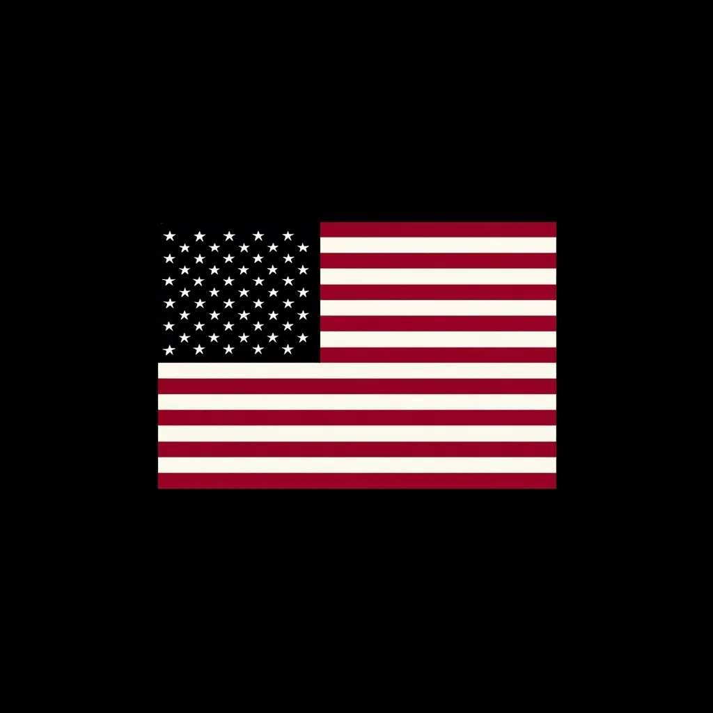 American Flag 37