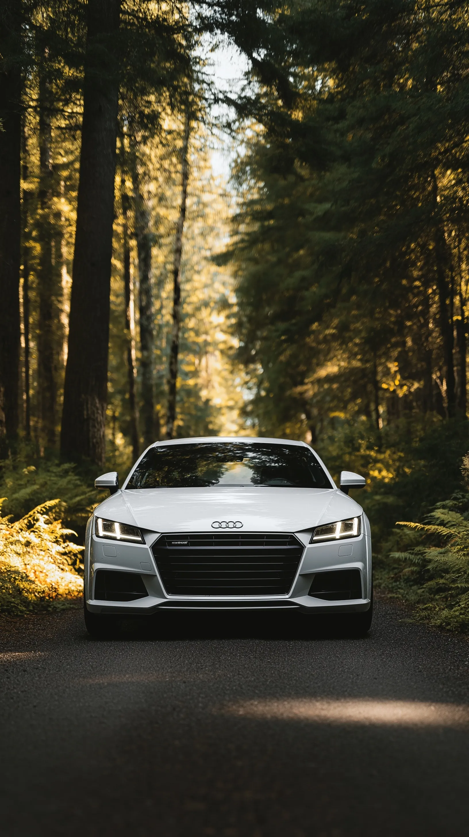 Audi car driving on a scenic road surrounded by lush green trees, perfect for iPhone wallpaper.