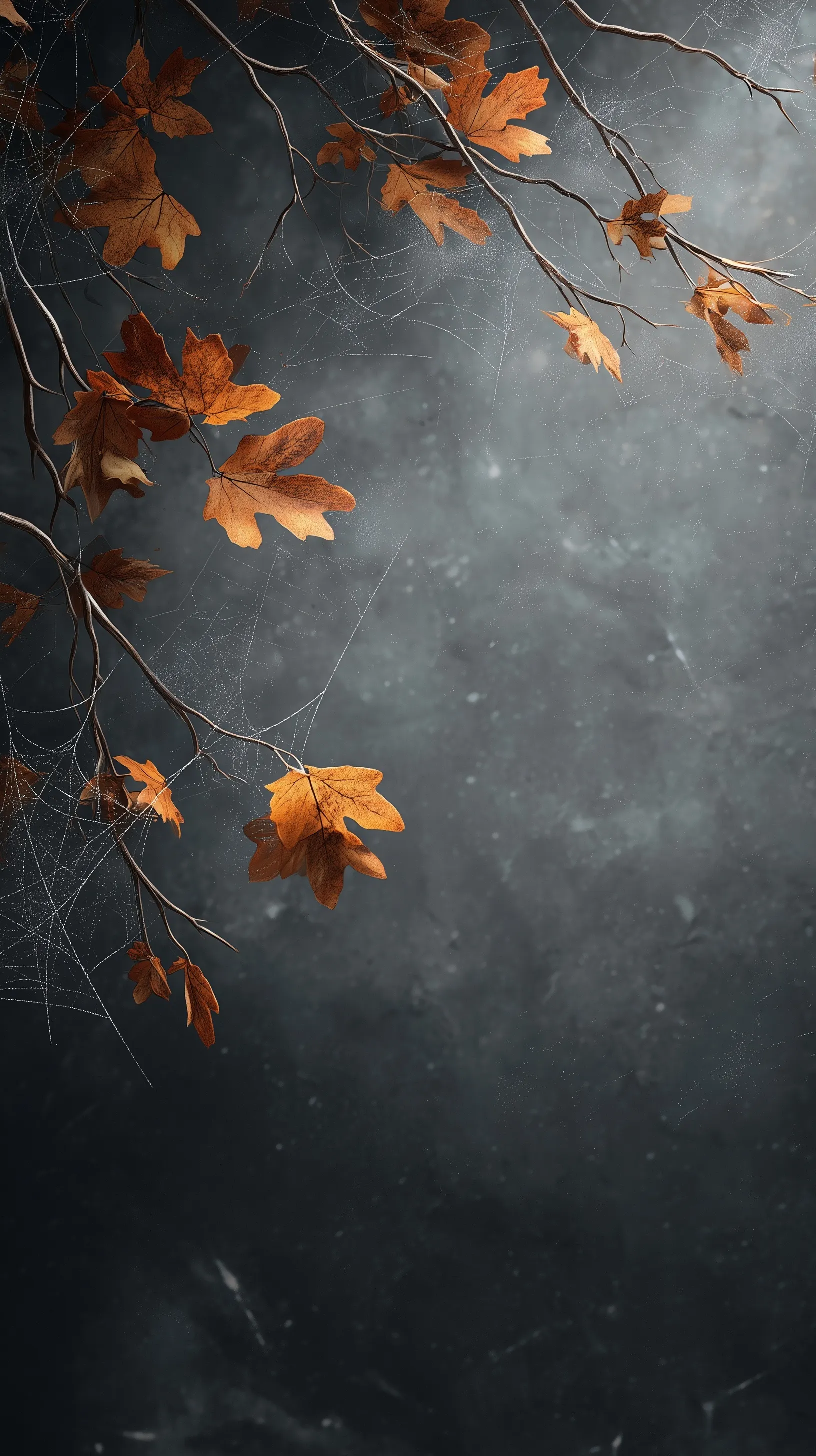 Autumn iPhone wallpaper featuring realistic dry orange leaves, morning dew on spider webs, and a dark gray texture.