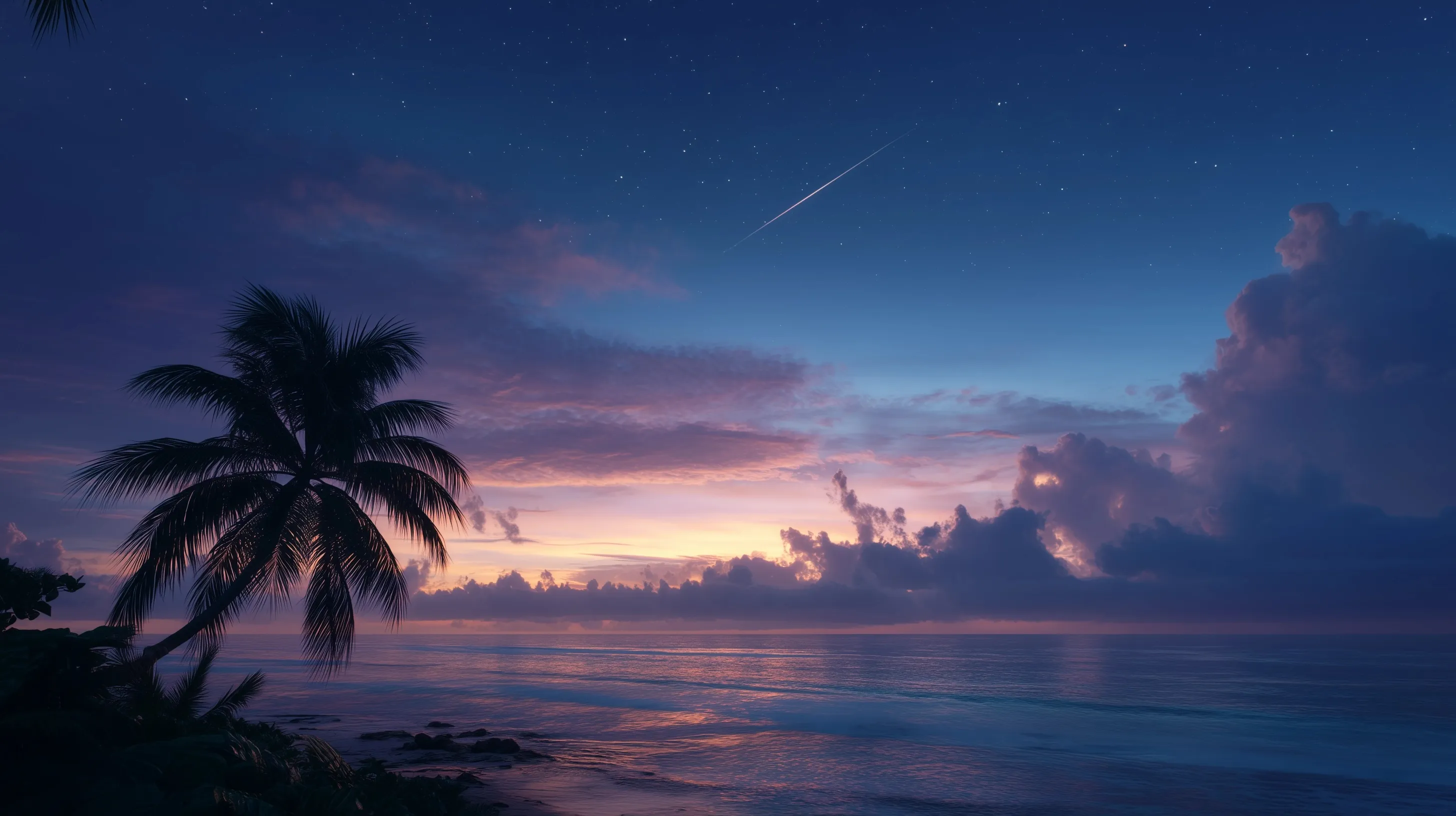 Caribbean sea at dawn with a visible falling star and palm tree under a dark, vibrant morning sky.
