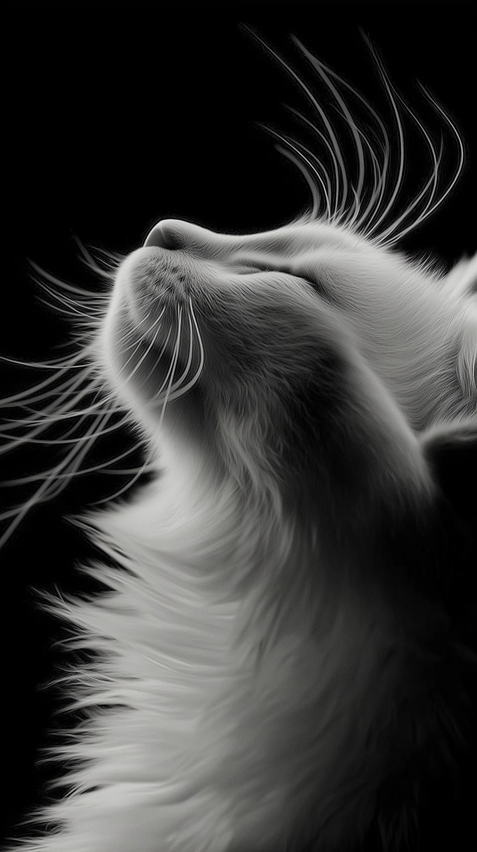 Ultra-realistic close-up portrait of a cute black and white cat, perfect for high-definition mobile wallpaper.