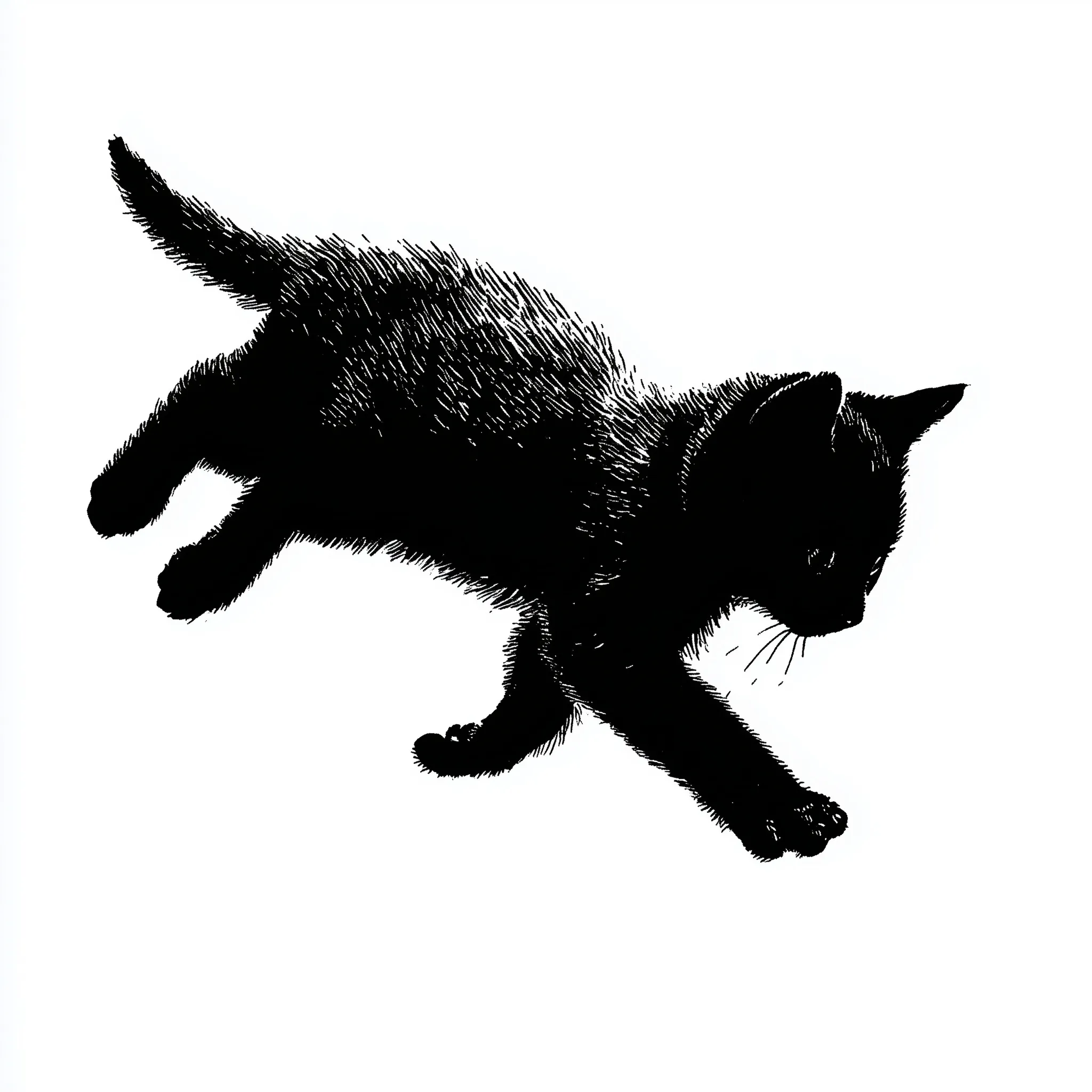 Black Cat Silhouette 9