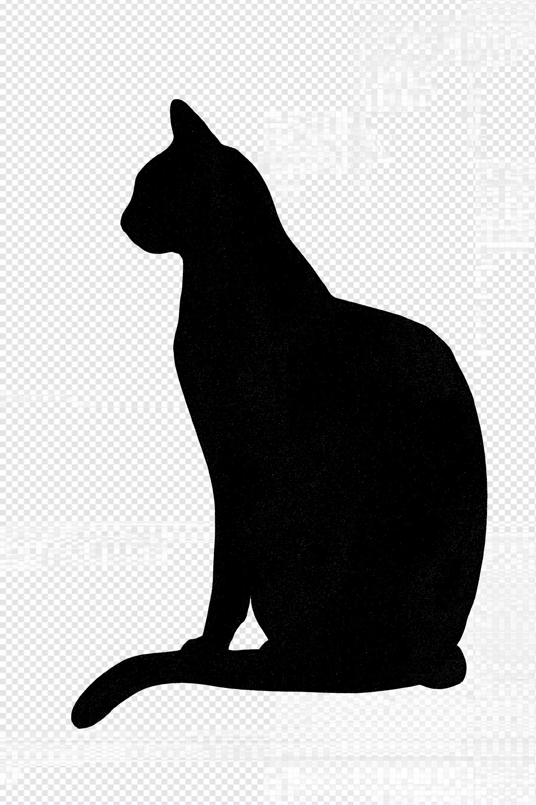 Black Cat Silhouette 25