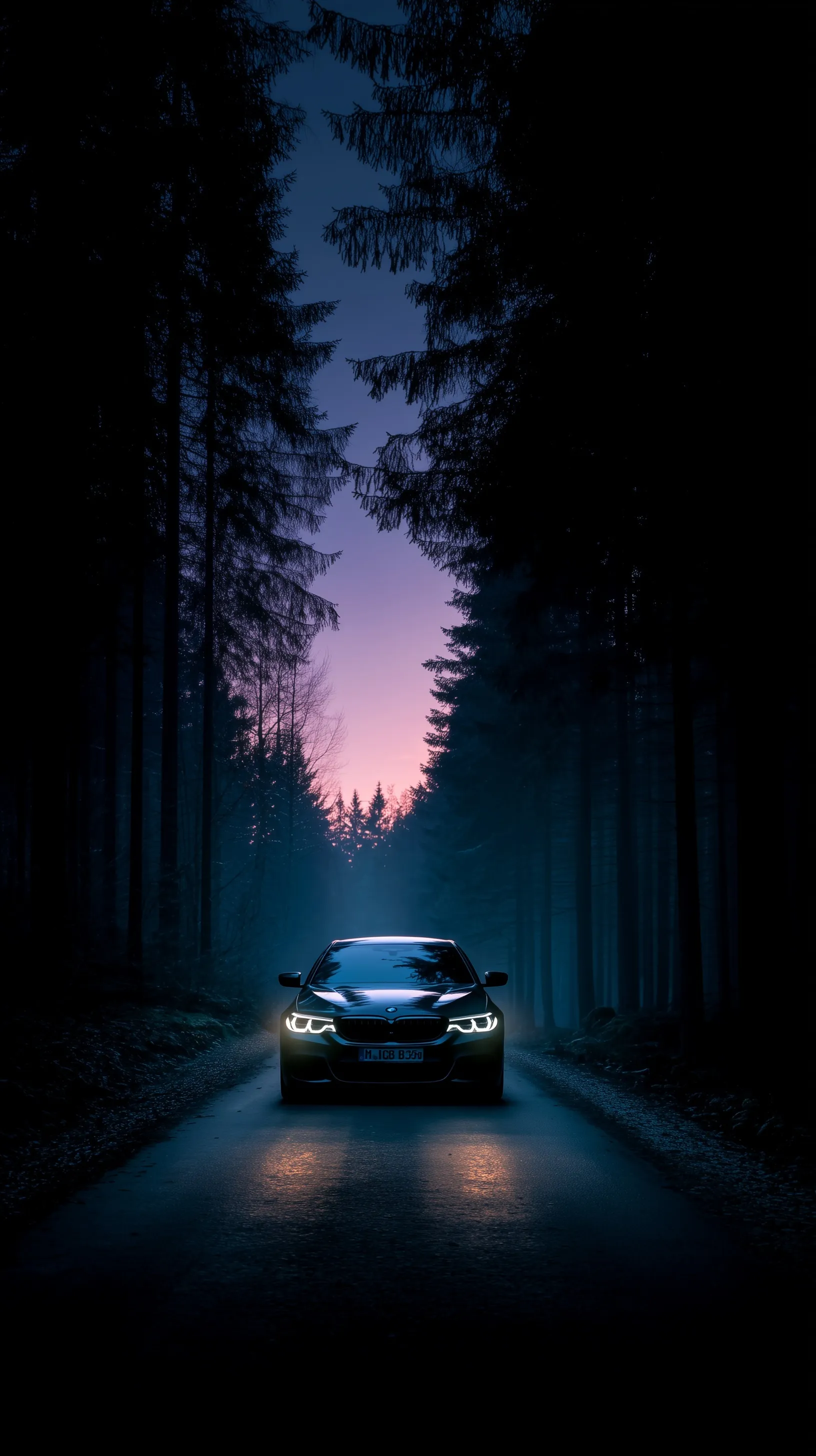 A black BMW sedan driving on a misty forest road at twilight with glowing headlights for an iPhone wallpaper.