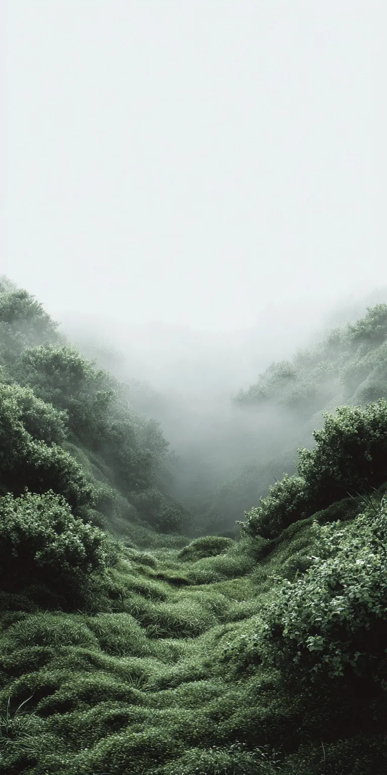 Moody dark forest background with misty greenery and a center clearing, perfect for ethereal nature wallpapers.