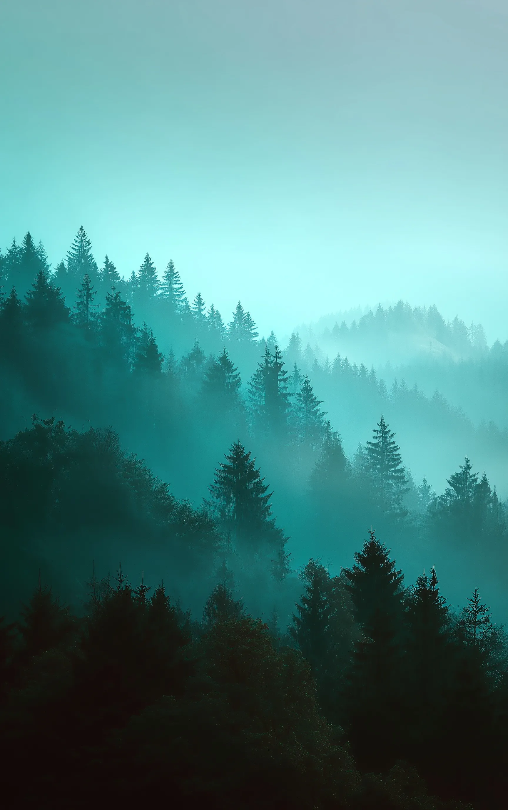 Soft misty green forest clearing at dawn with cinematic atmospheric fog and minimal negative space.