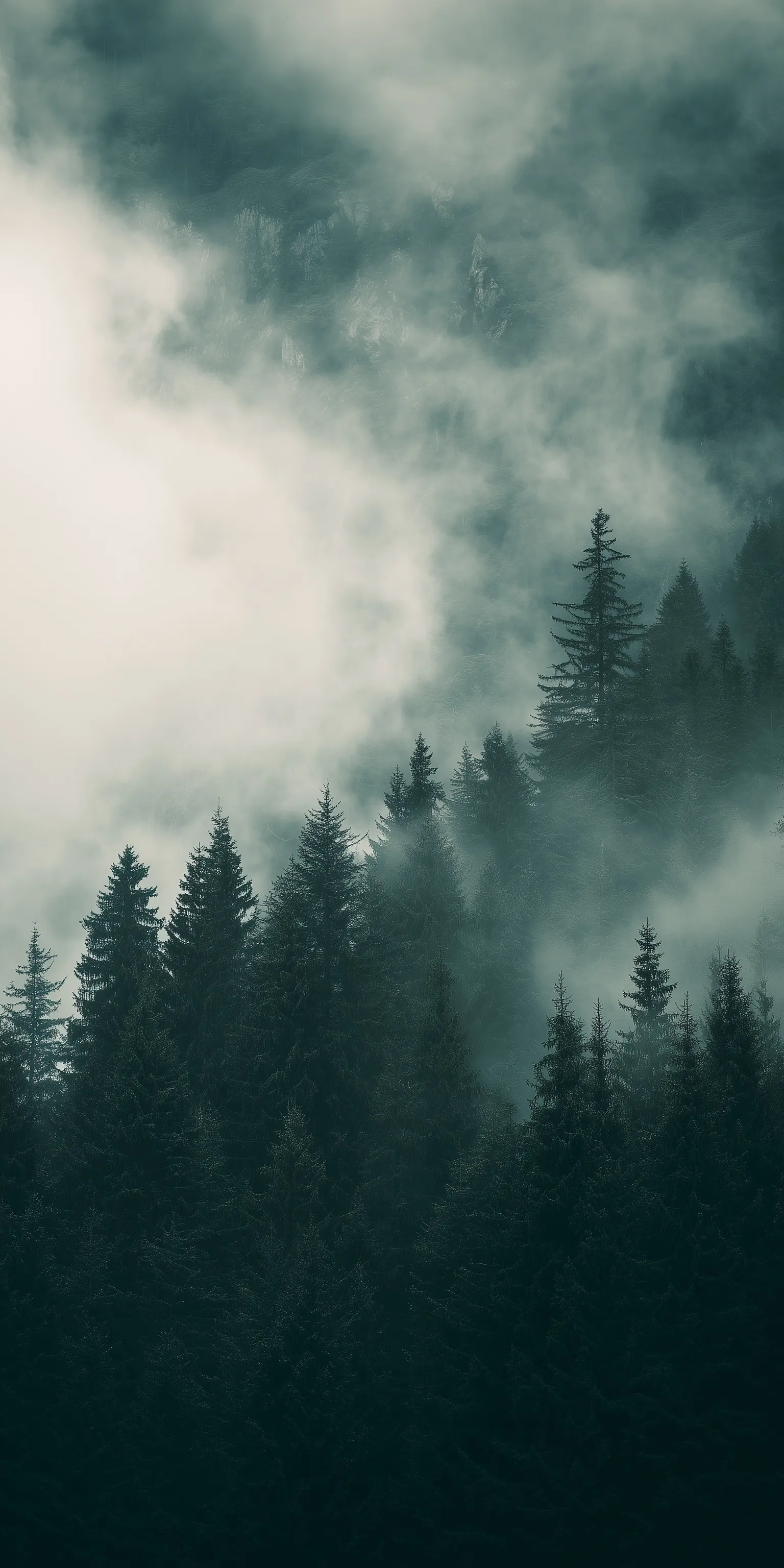 Dense evergreen forest shrouded in thick morning mist with moody dark green tones and cinematic atmospheric depth.