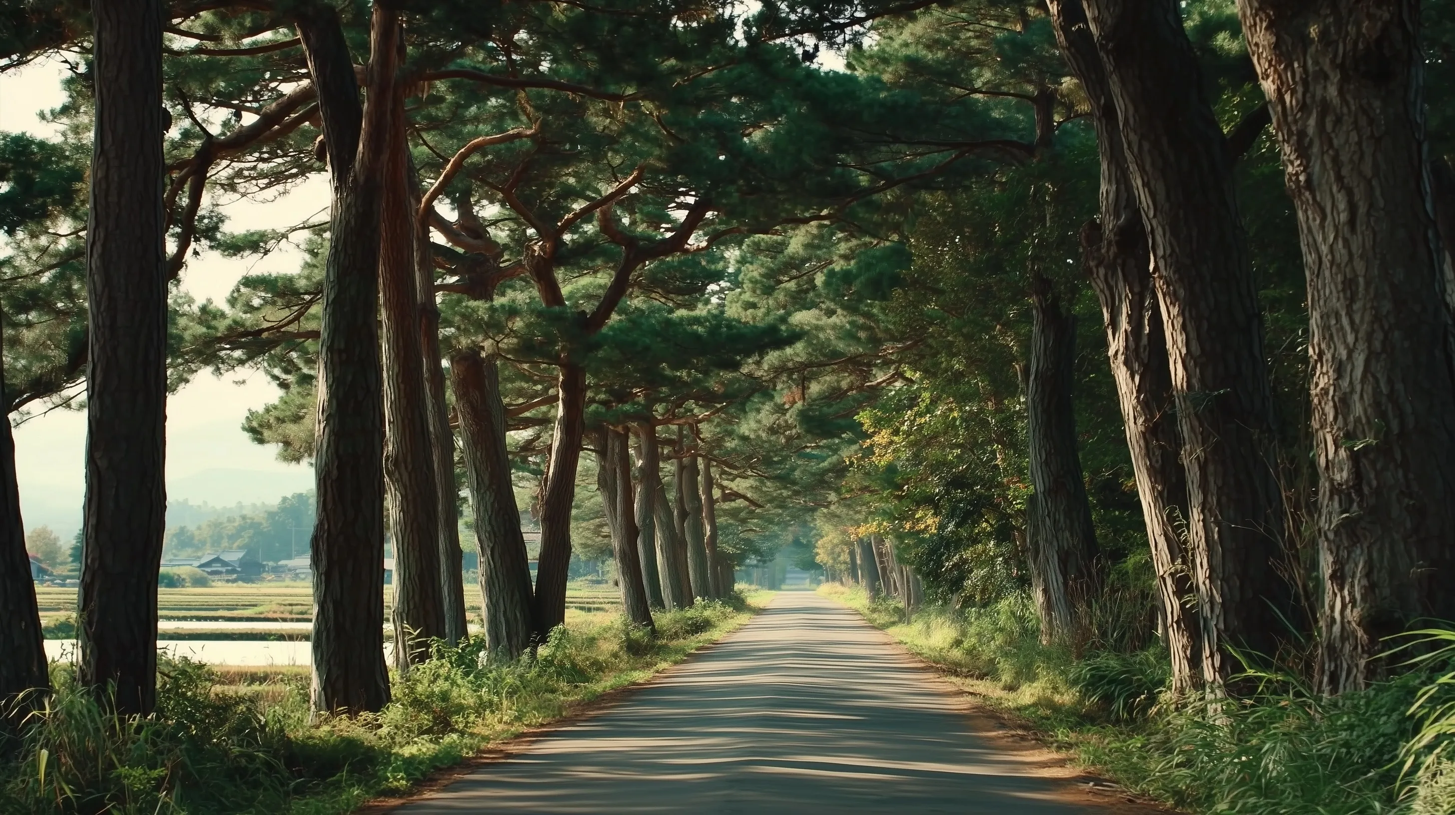A scenic pine-lined road in rural Japan during a summer afternoon, evoking a cinematic and fantastical atmosphere.