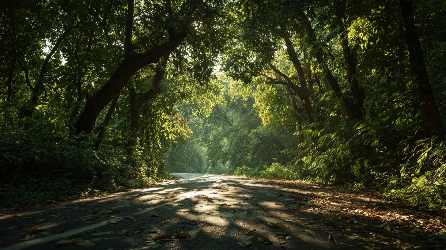 A scenic forest road surrounded by lush green trees with sunlight filtering through leaves, cinematic landscape.
