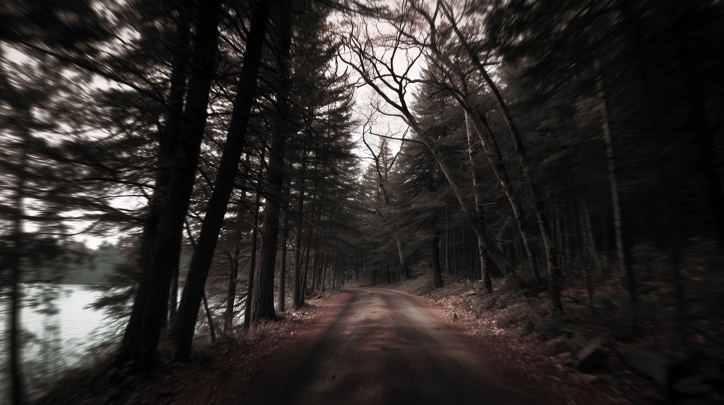 A dark, eerie forest road in Minnesota’s Boundary Waters with grainy trees and a mysterious, shadowy atmosphere.