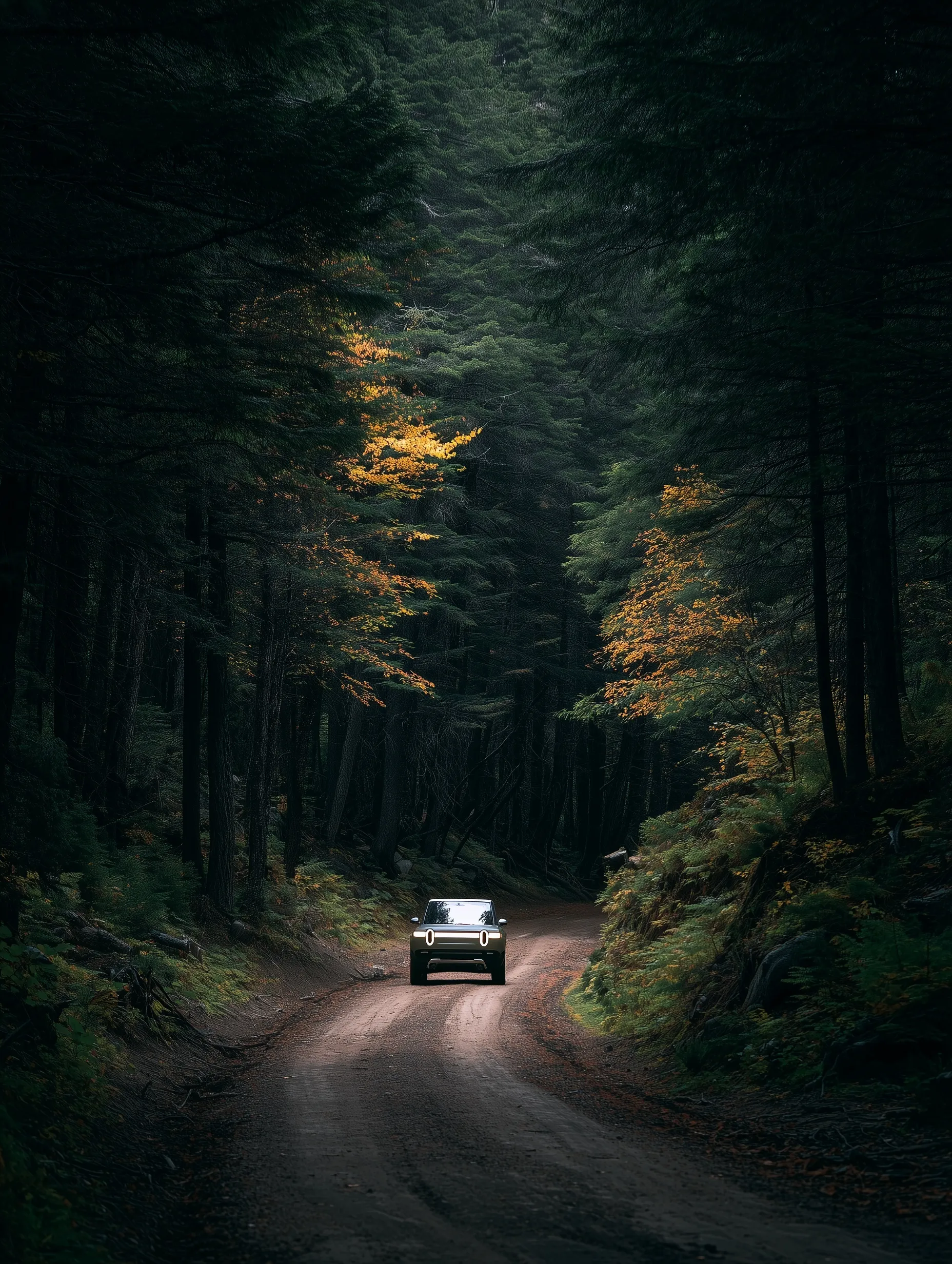 A modern electric Rivian SUV driving along a scenic forest road surrounded by tall green trees.