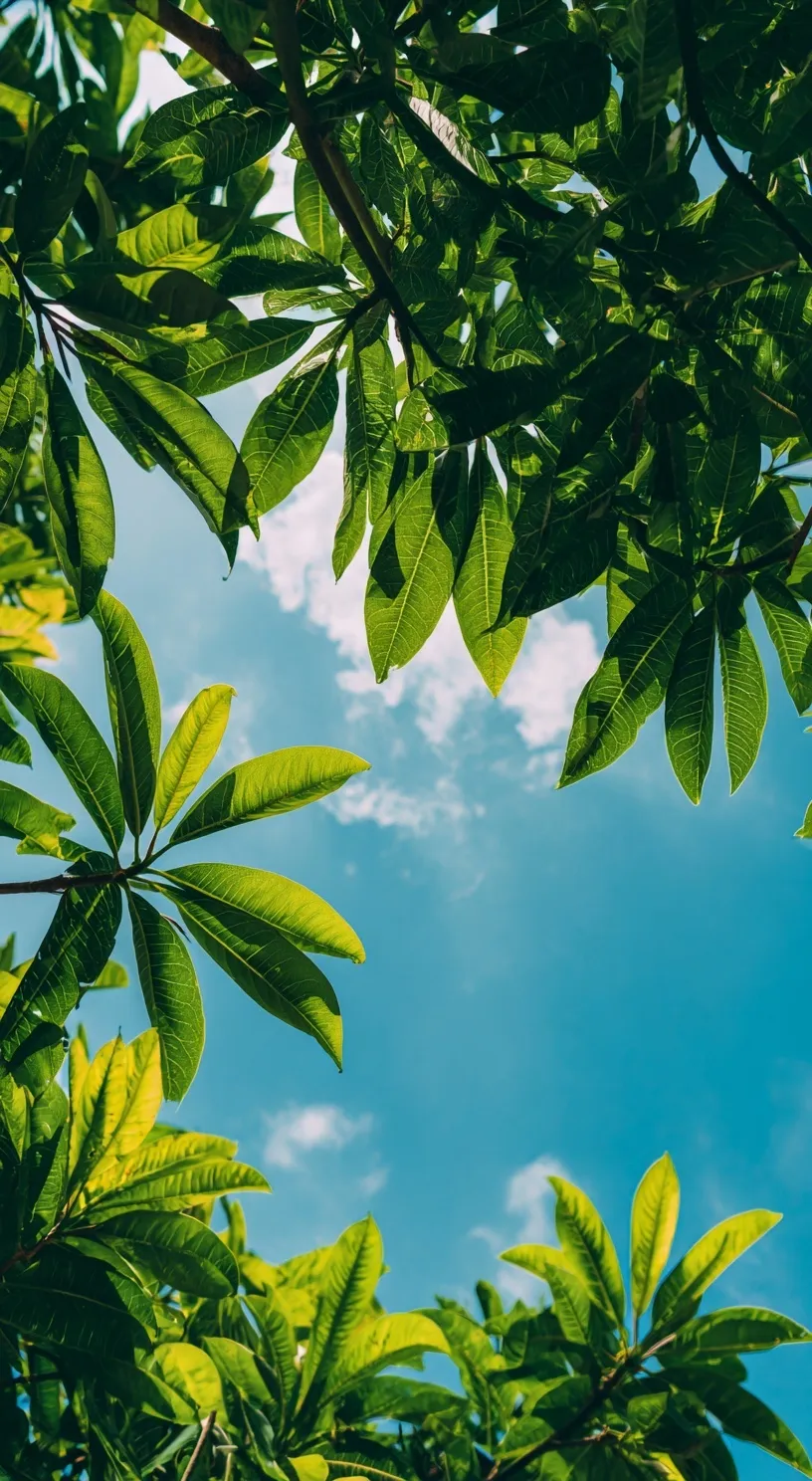 Green Leaf Mobile Wallpaper Hd 42