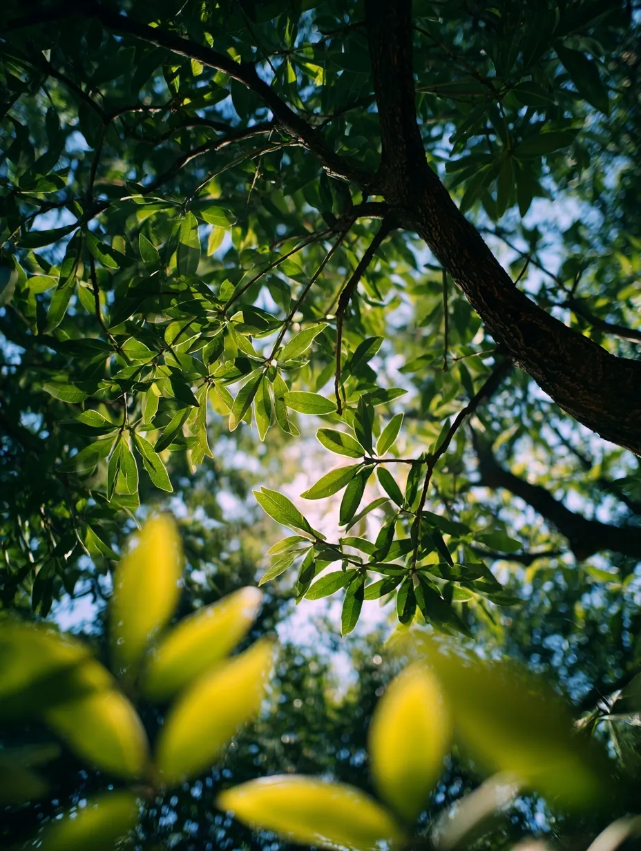 Green Leaf Mobile Wallpaper Hd 44