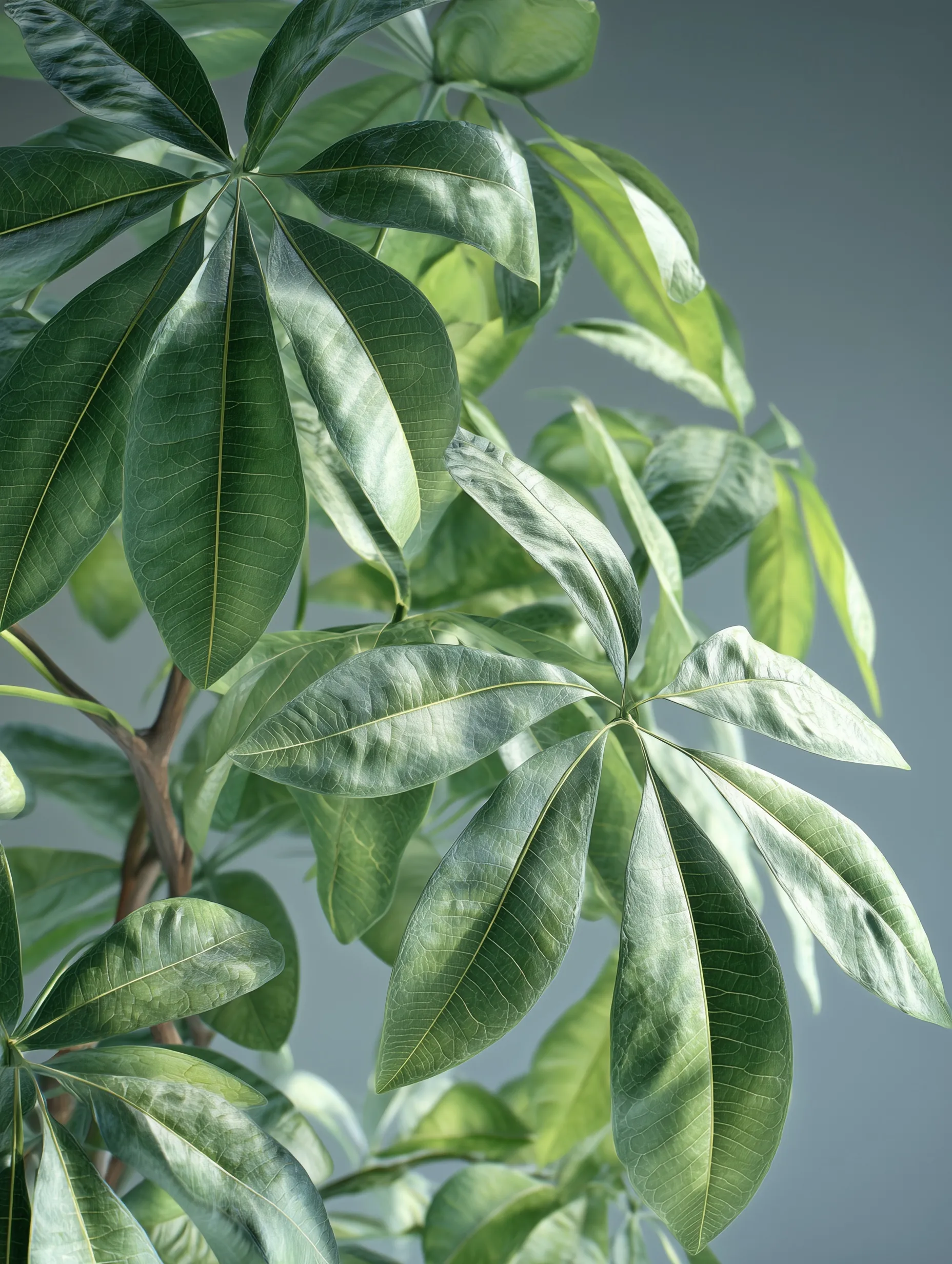 Green Leaf Mobile Wallpaper Hd 48