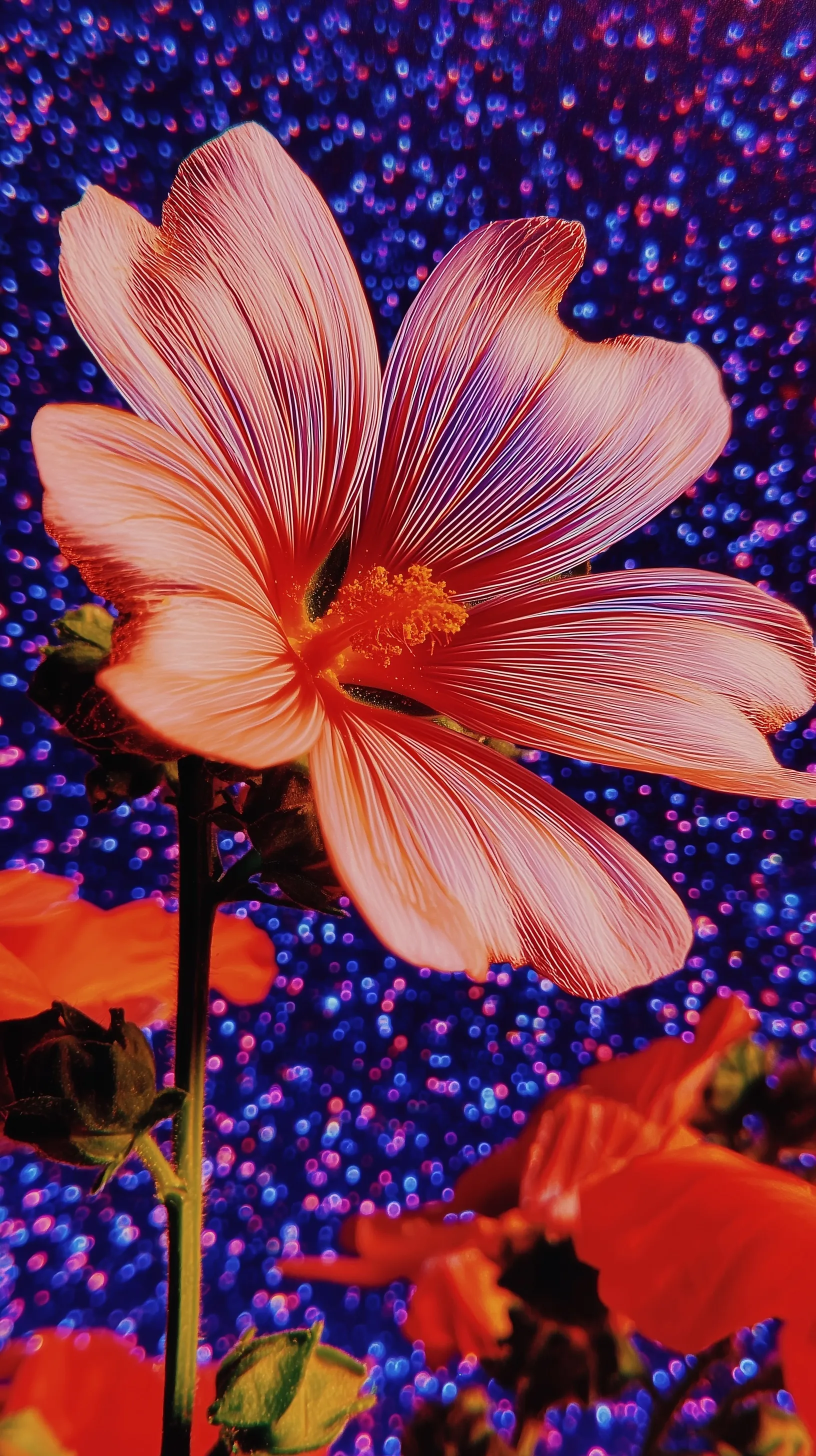 A glowing lavender hibiscus flower floating in deep space, surrounded by shimmering stars and cosmic dust.