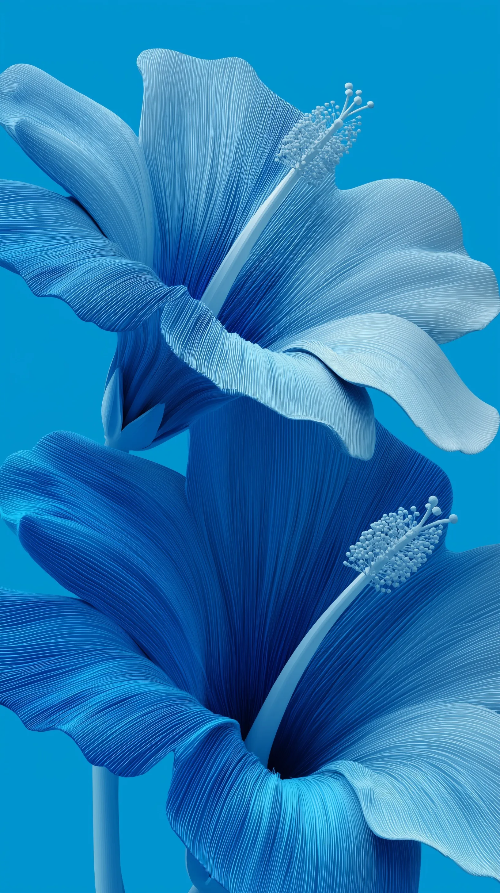 Minimalist digital art of two hibiscus flowers in desaturated blue against a bright blue background.