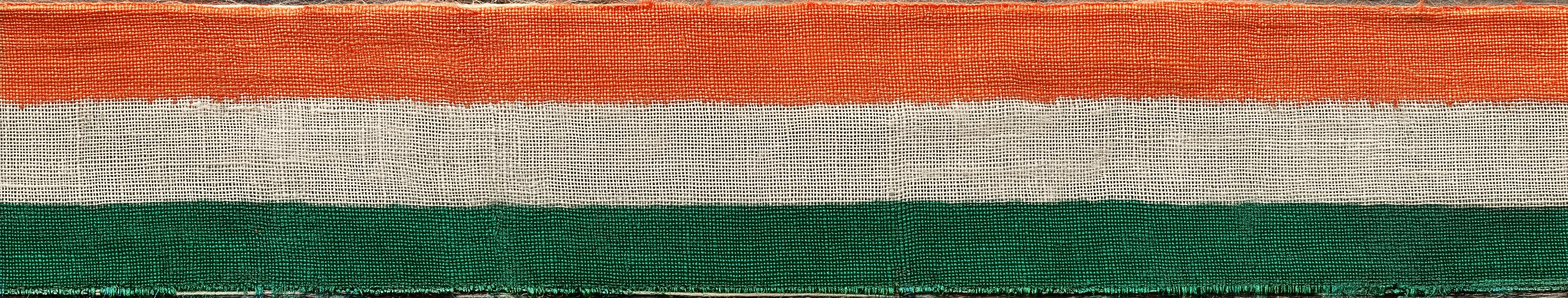 Indian Flag Tiranga 36