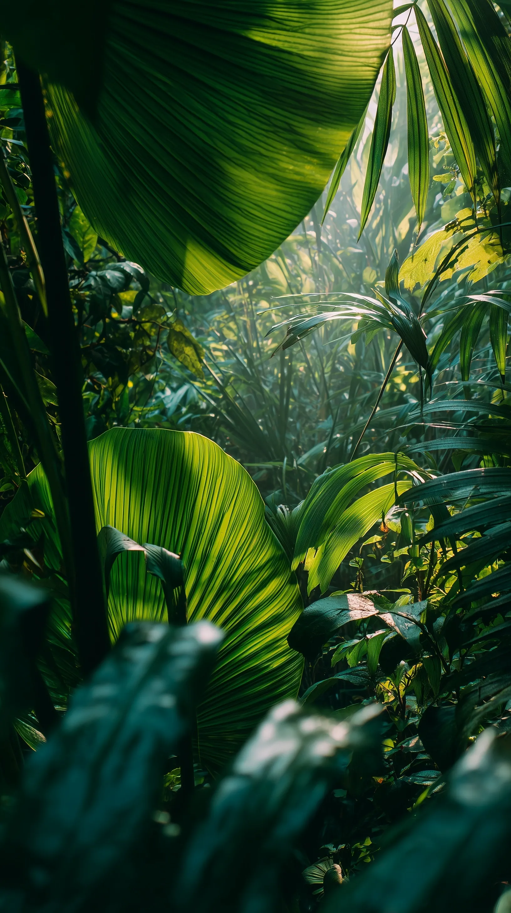 Jungle Wallpaper 30