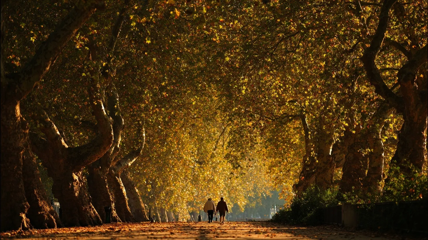 London Autumn Photo 17