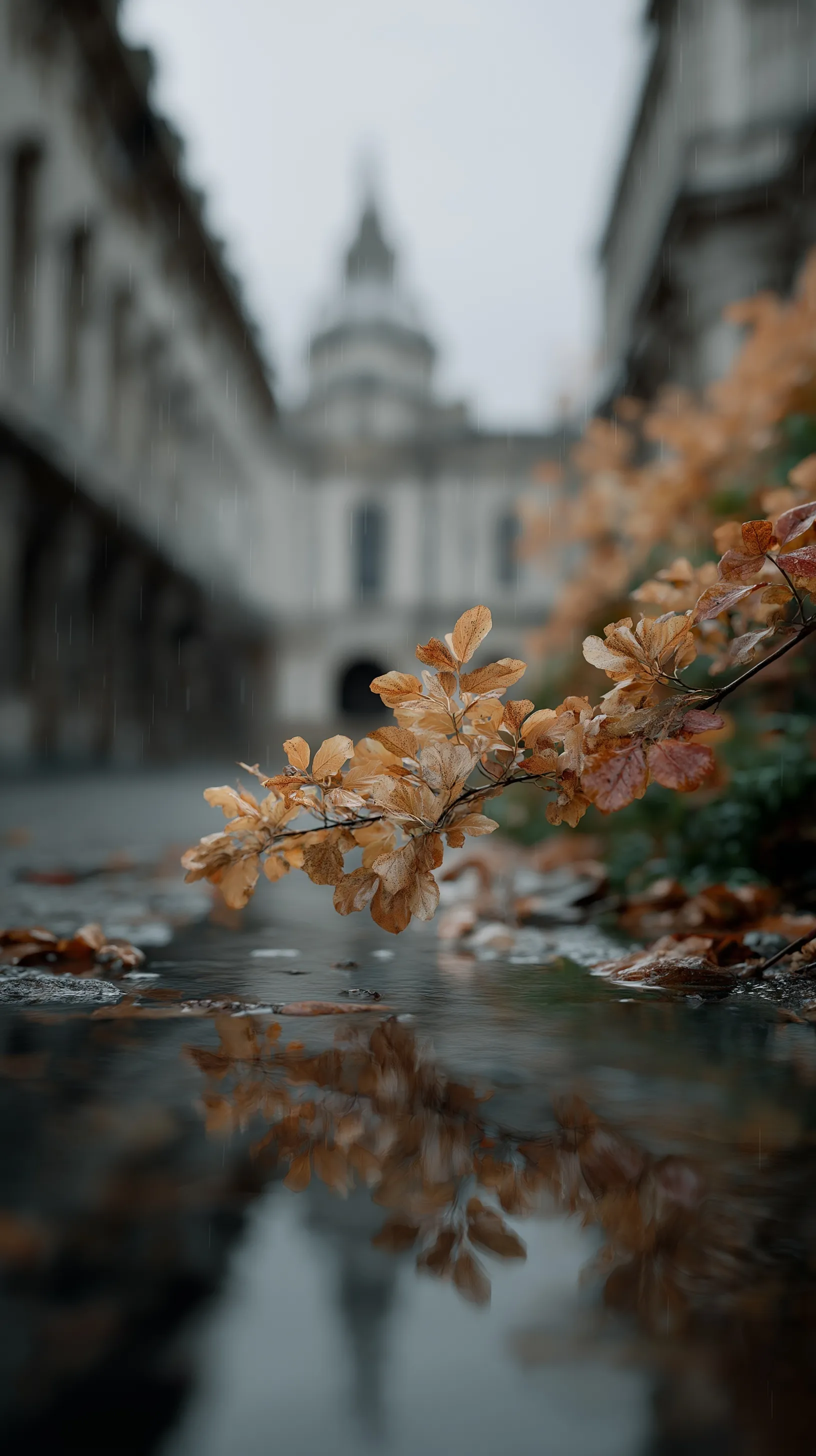 London Autumn Photo 35