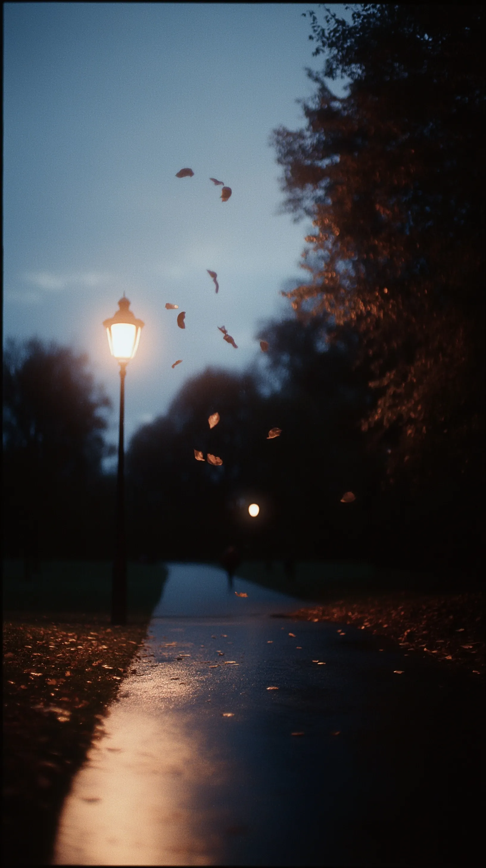 London Autumn Photo 71