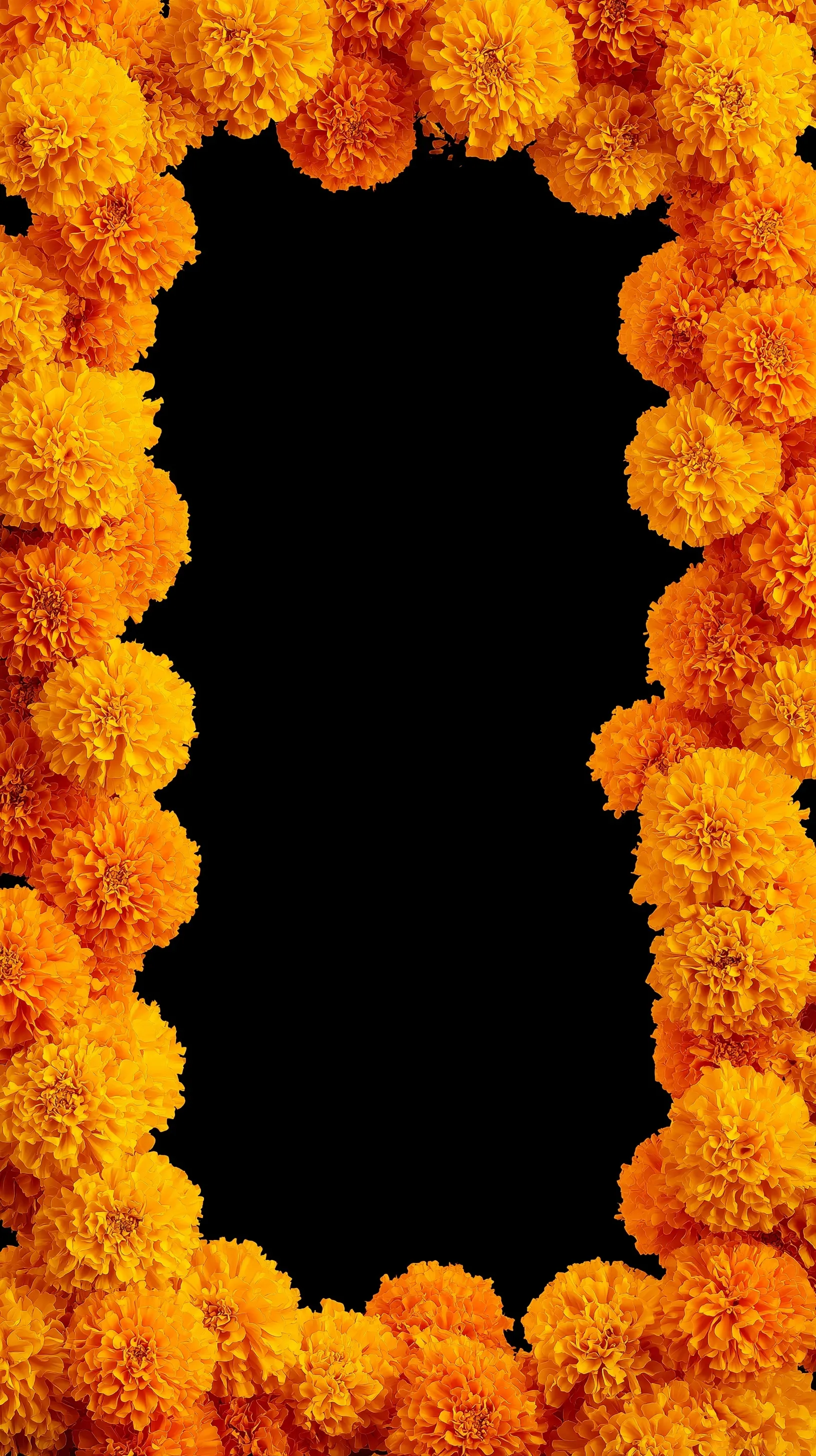 A decorative frame of vibrant orange marigold flowers with clean copy space for text or logos.