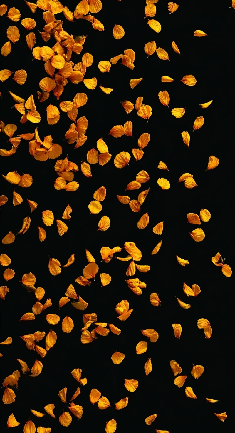 Scattered orange cempasuchil marigold petals forming a uniform pattern on a deep black background.