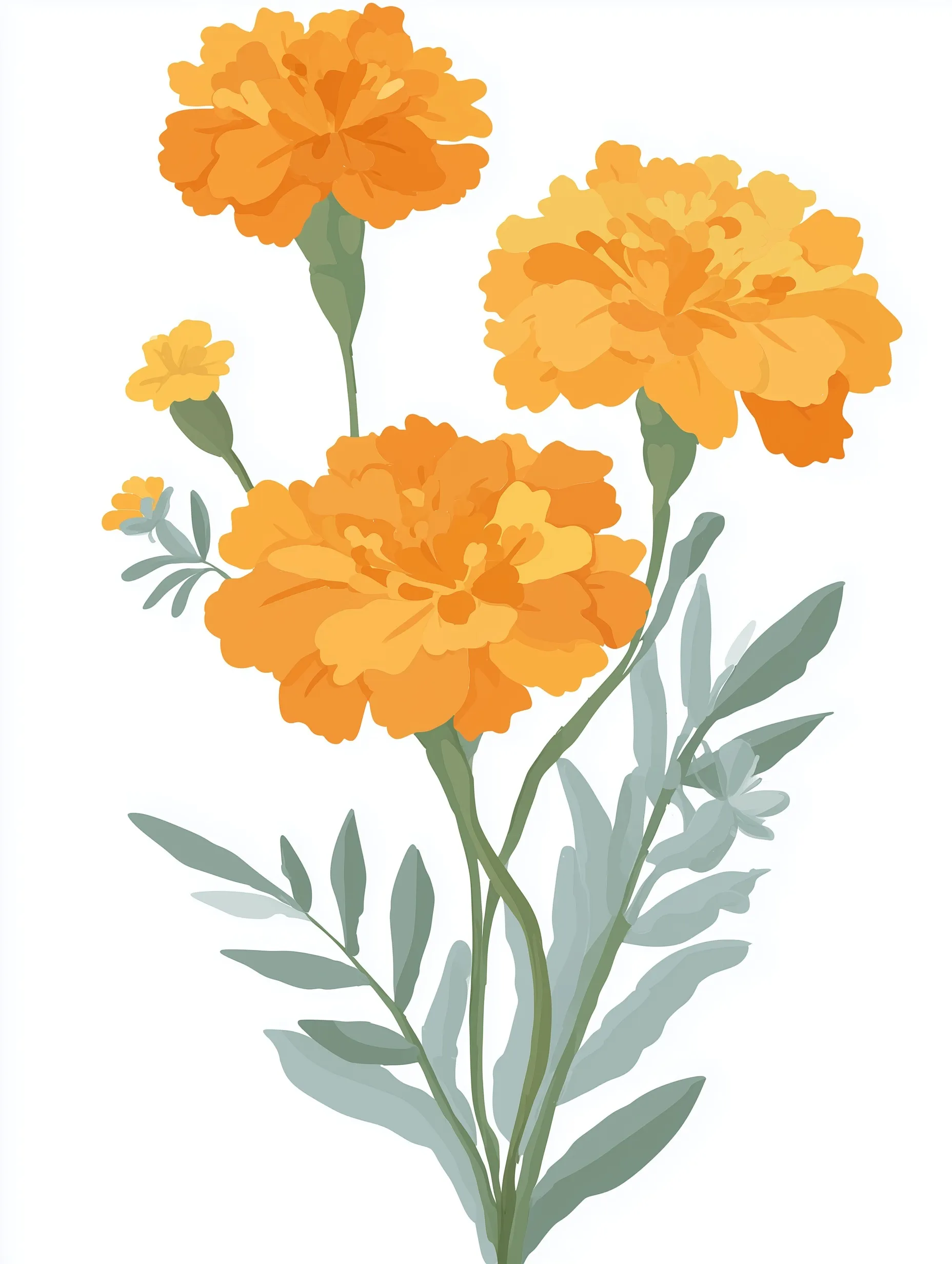 Marigold Flower 46