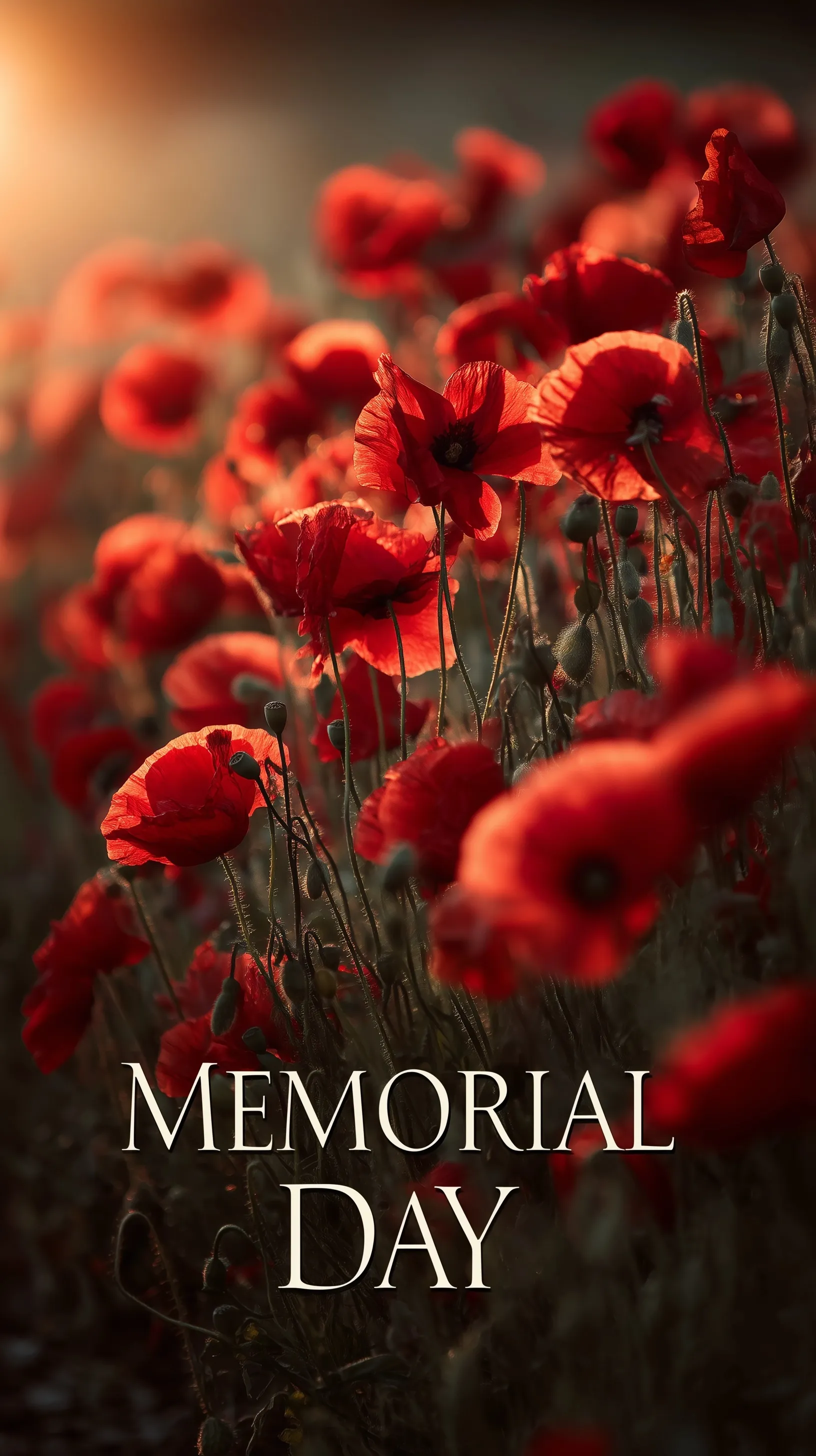 A red poppy field at dawn with a USA flag background and elegant Memorial Day text in a cinematic, respectful style.