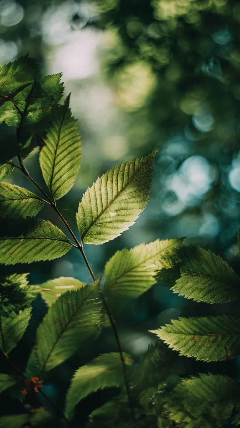 Realistic 4K green forest leaves wallpaper for iPhone 17 Pro, featuring lush natural foliage and sunlight.