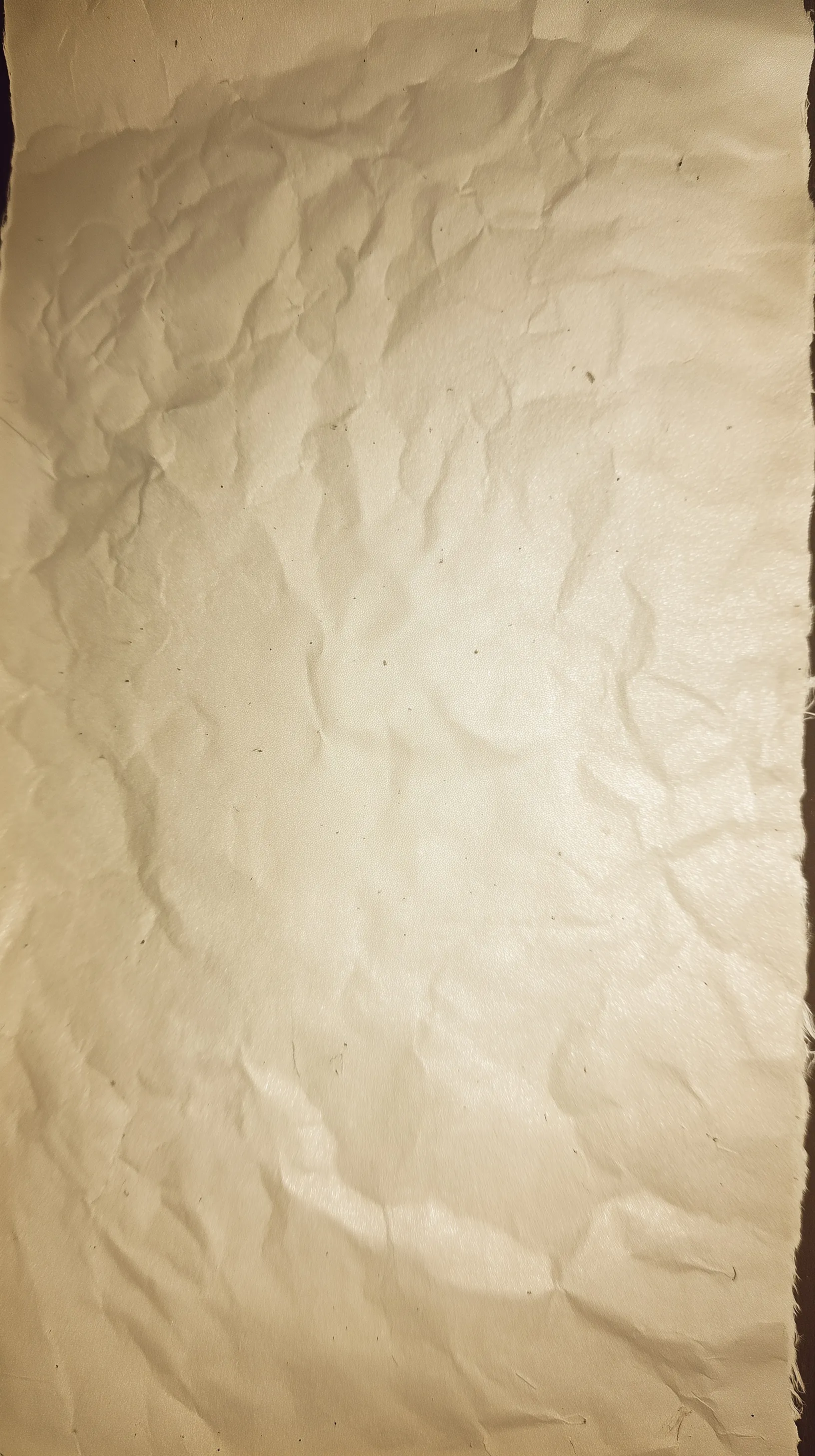 Paper Texture Background 41