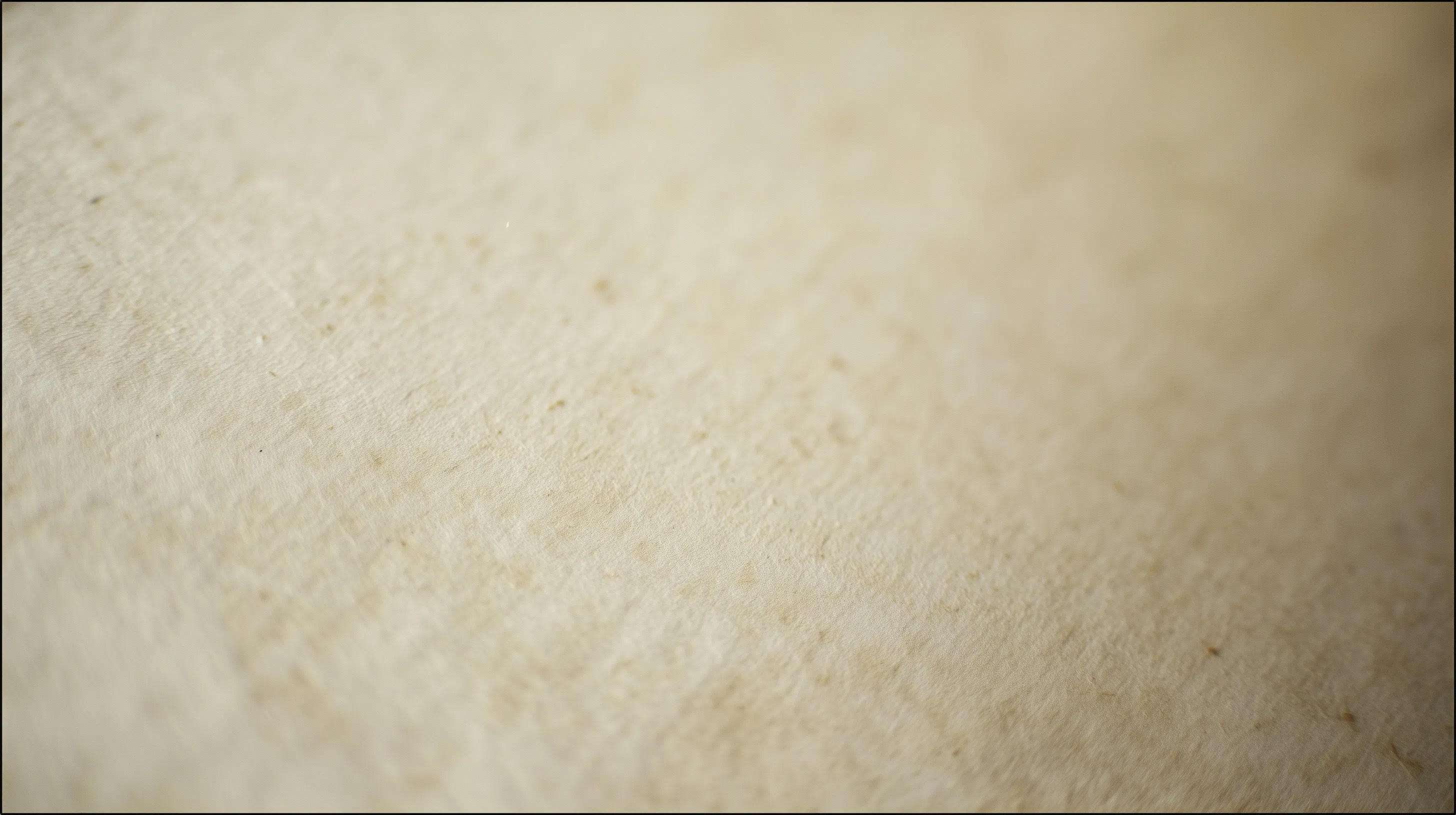 Paper Texture Background 45