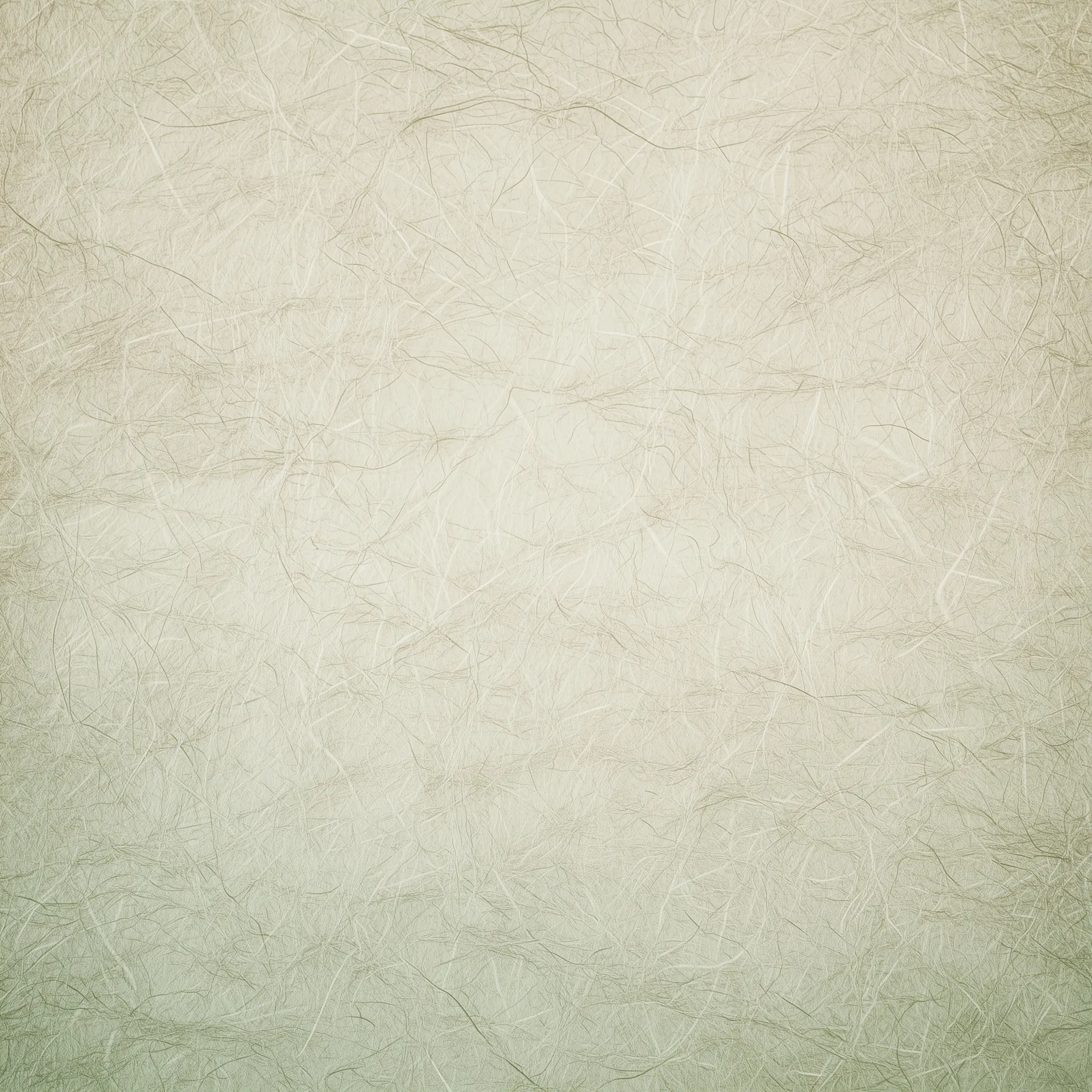 Paper Texture Background 46