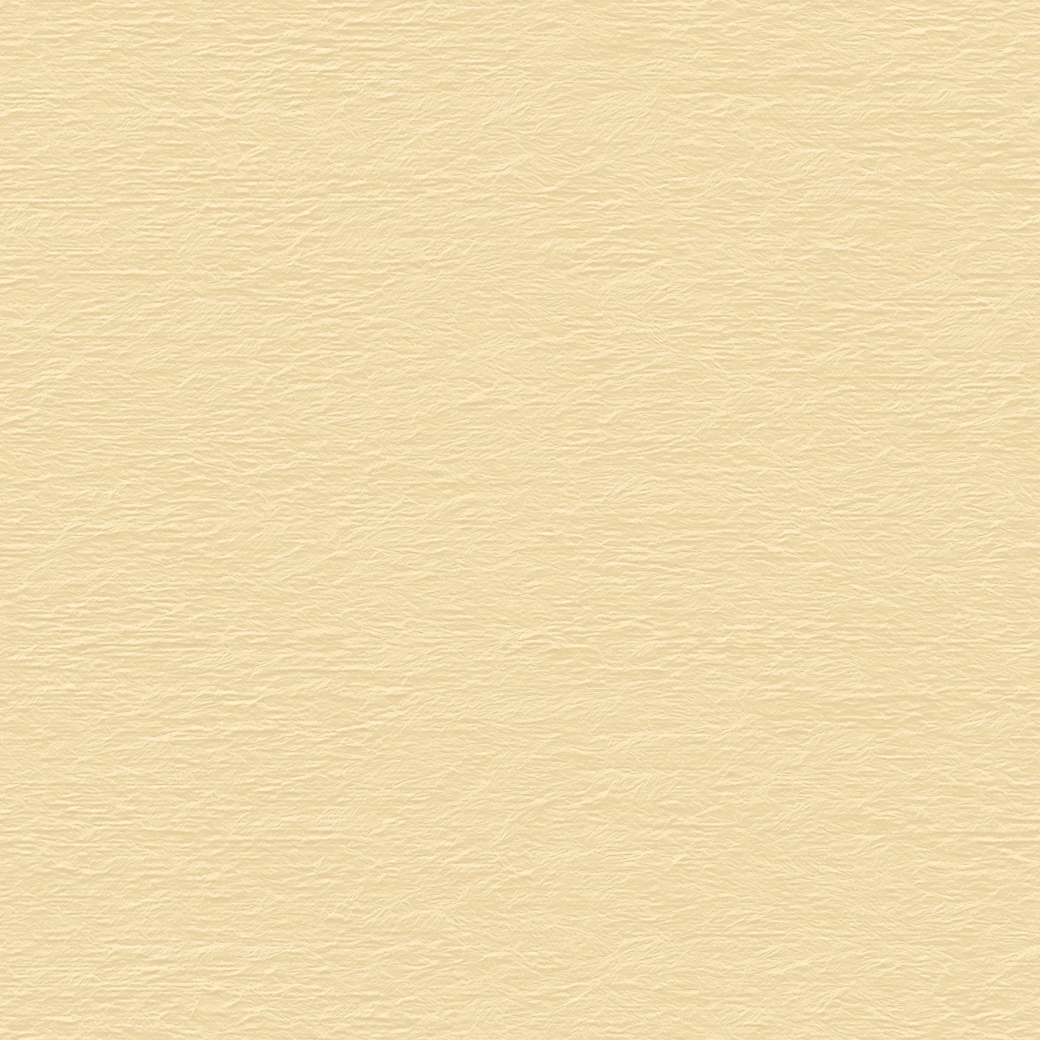 Paper Texture Background 47