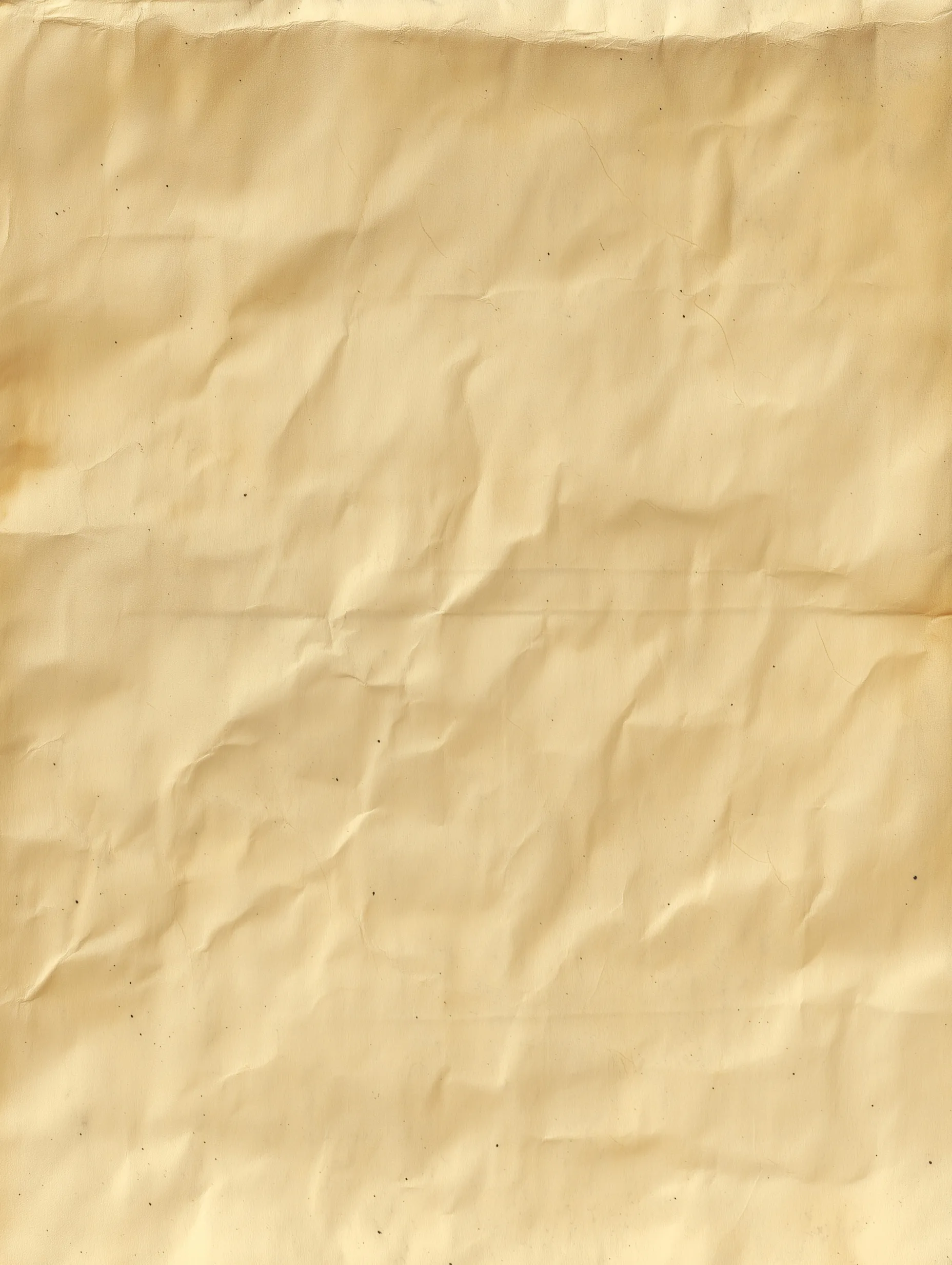 Paper Texture Background 55