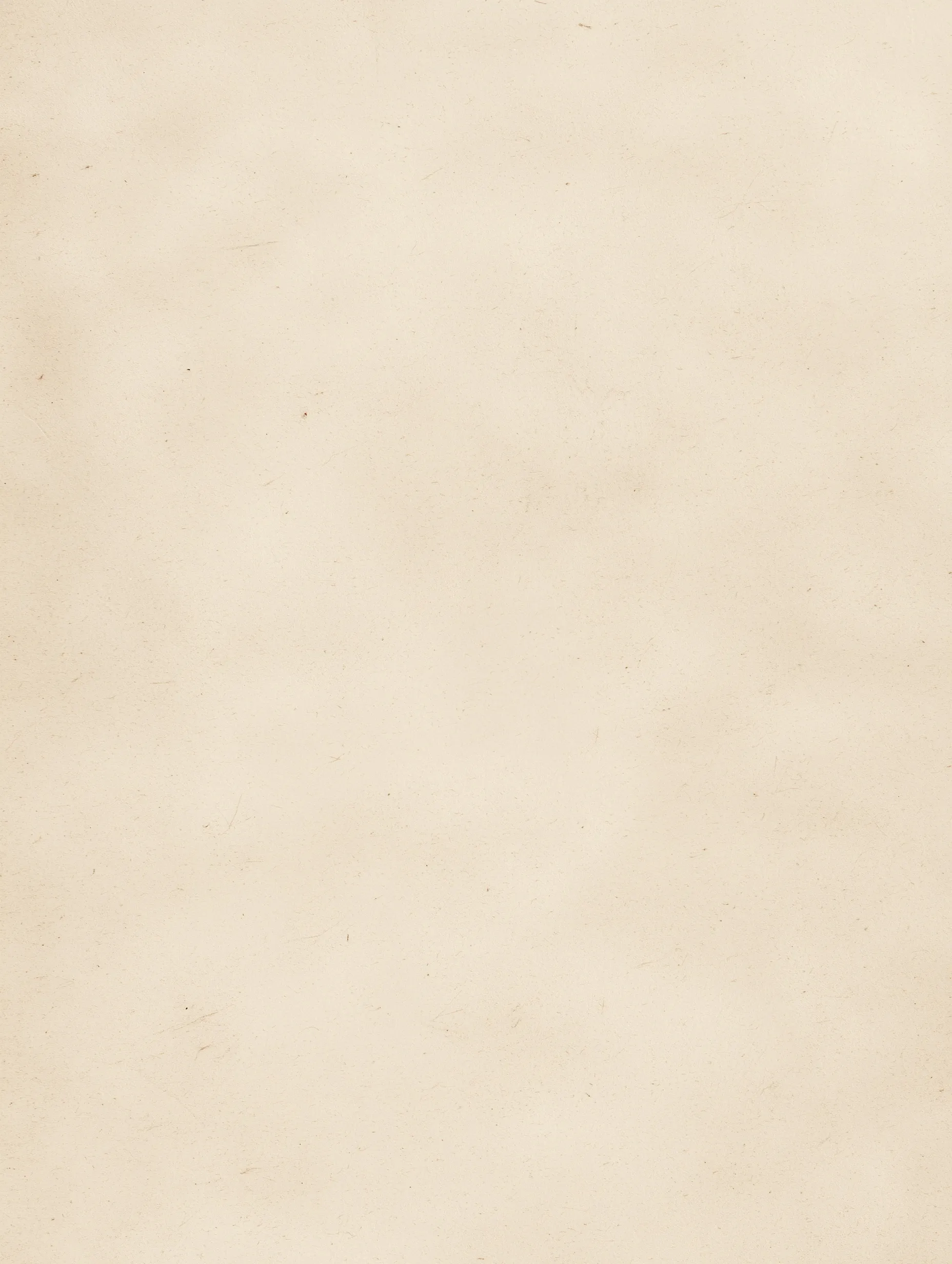 Paper Texture Background 56