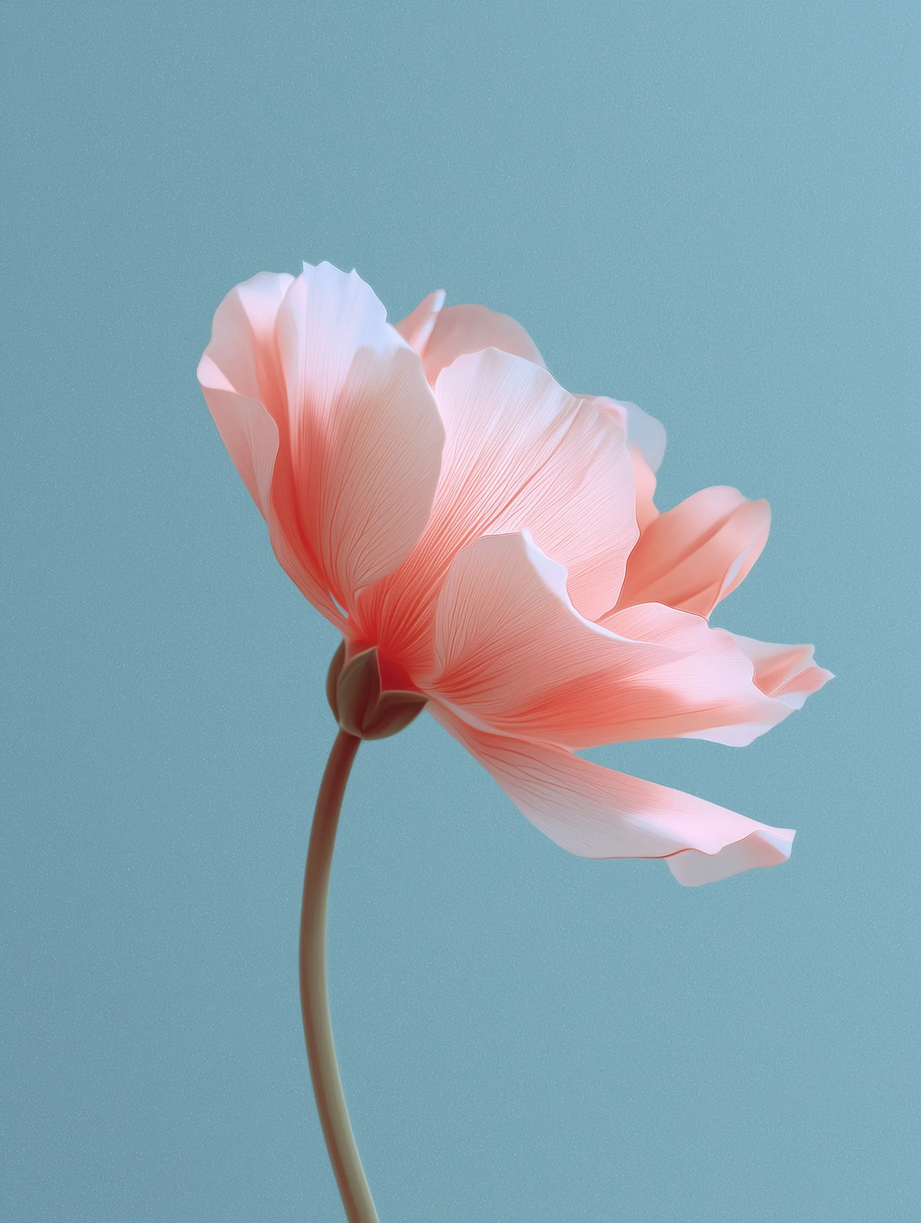 A single detailed aesthetic flower with soft lines on a minimalist light pastel background.