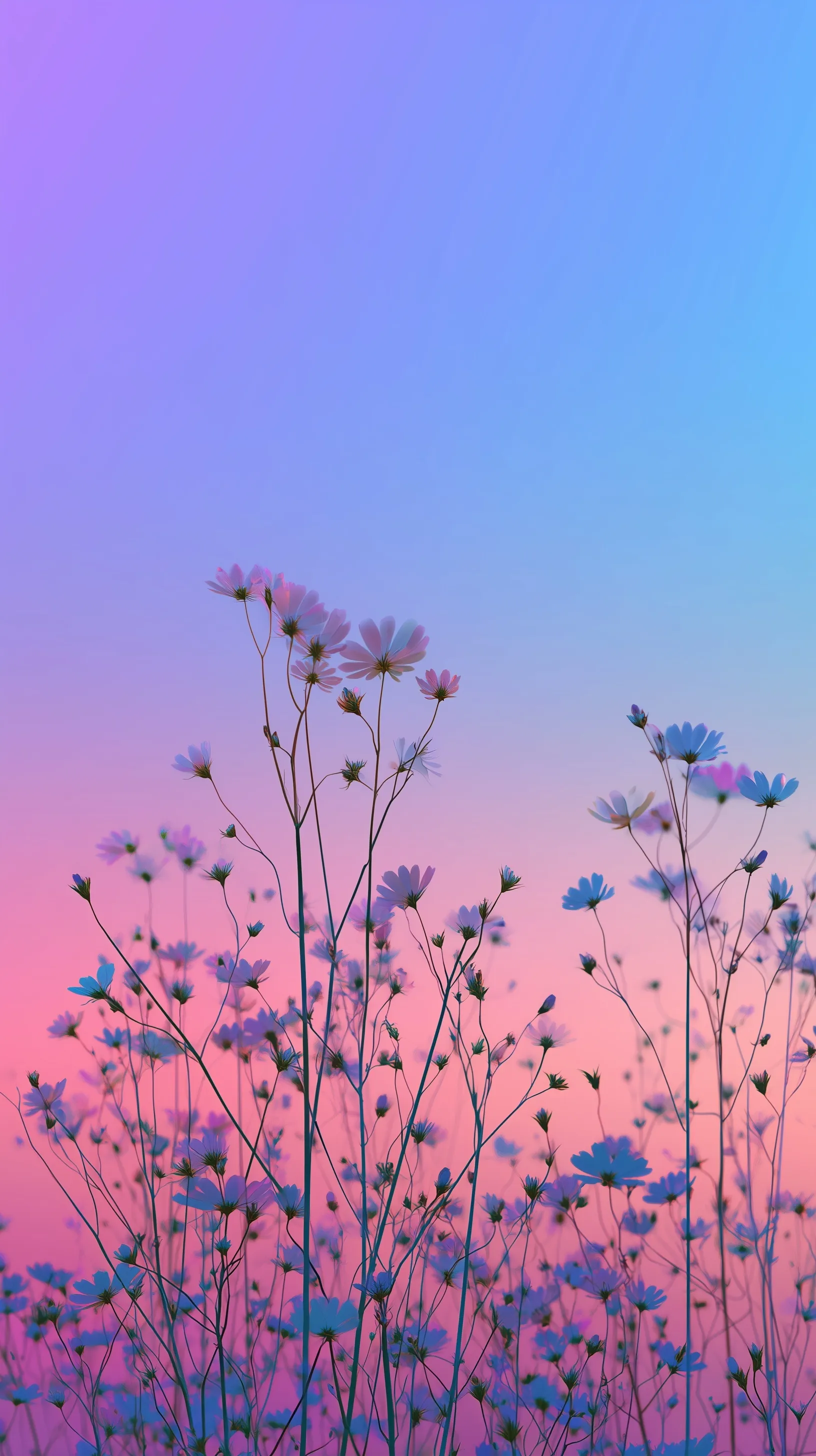 A soft, colorful pastel flower wallpaper for phone backgrounds featuring a dreamy sky aesthetic.