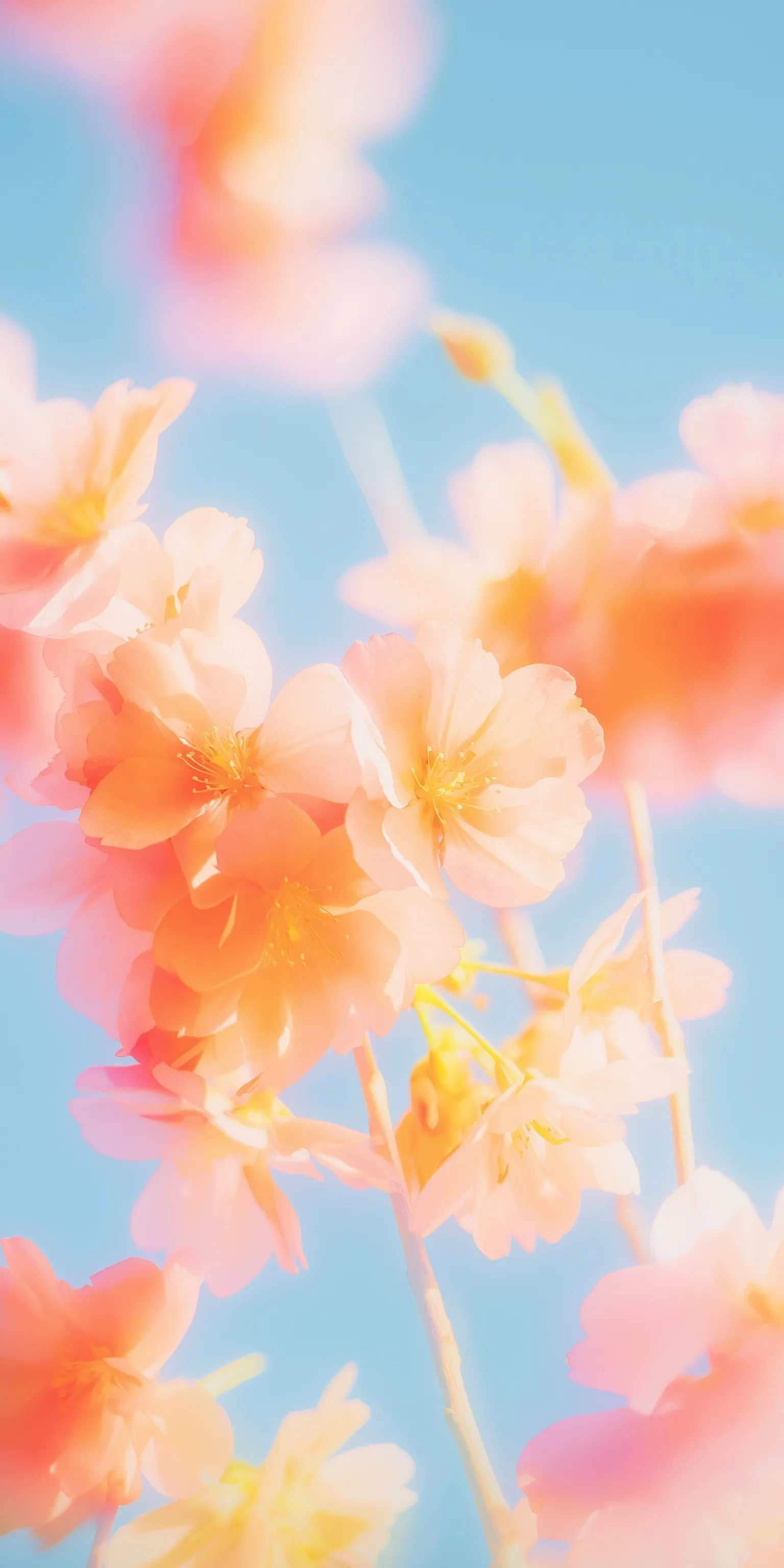 Ethereal pastel flowers blooming against a bright blue sky, perfect for a whimsical spring wallpaper.