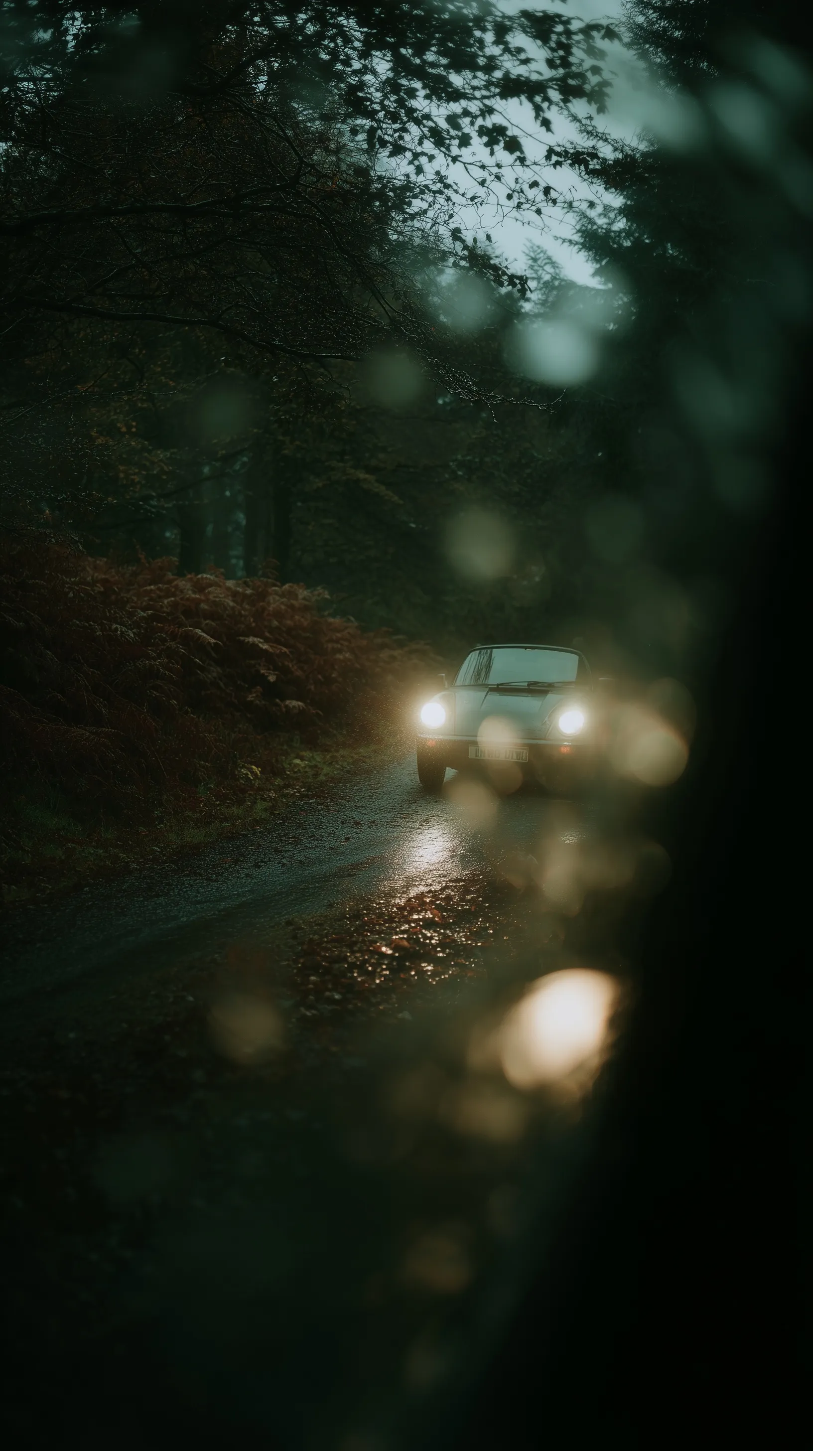 A Porsche driving through a rainy forest in England, capturing a dynamic and cinematic atmosphere.