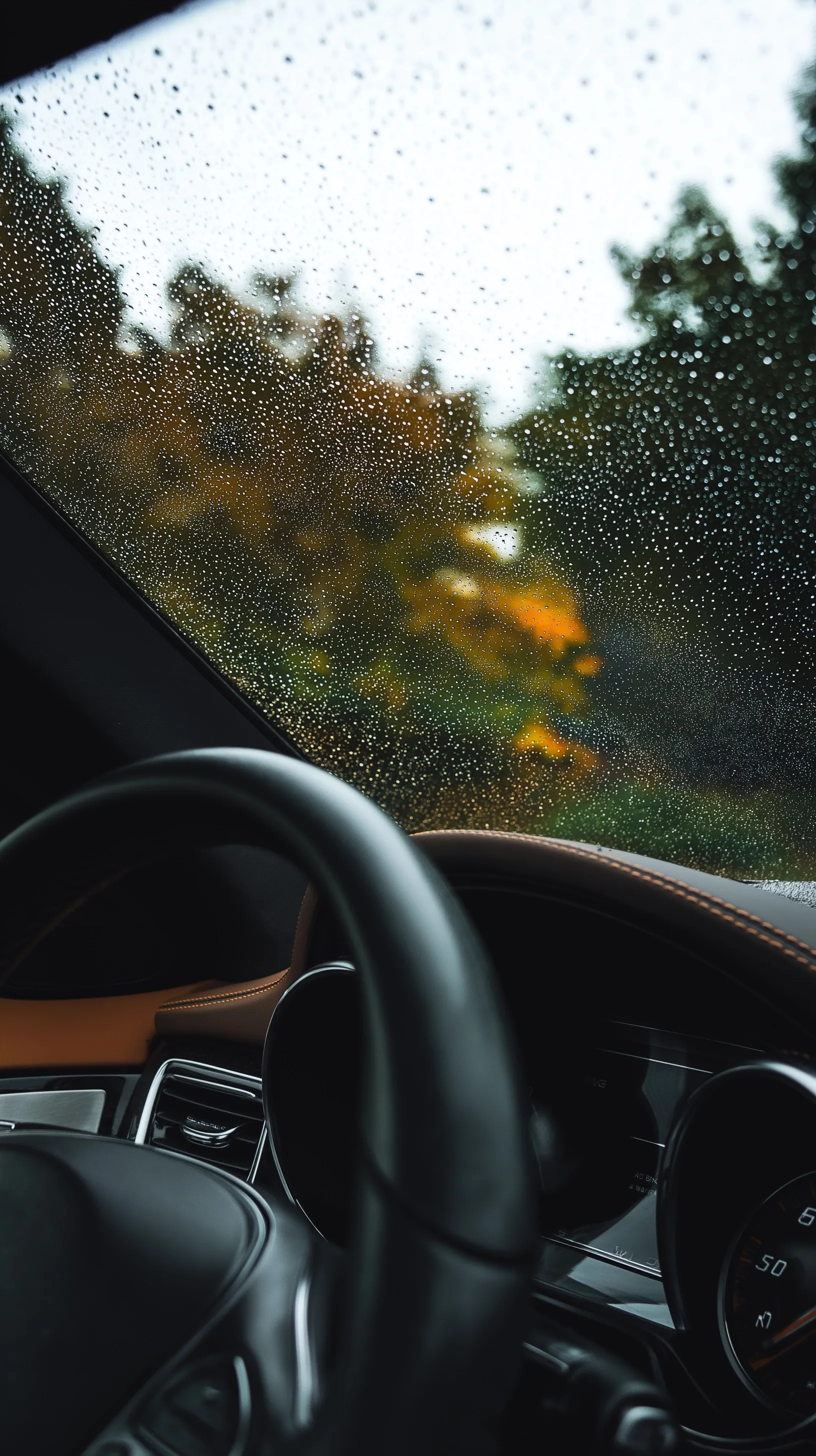 Raindrops on the windshield of a Mercedes-Benz GLE interior looking out at a blurred, moody nature landscape.