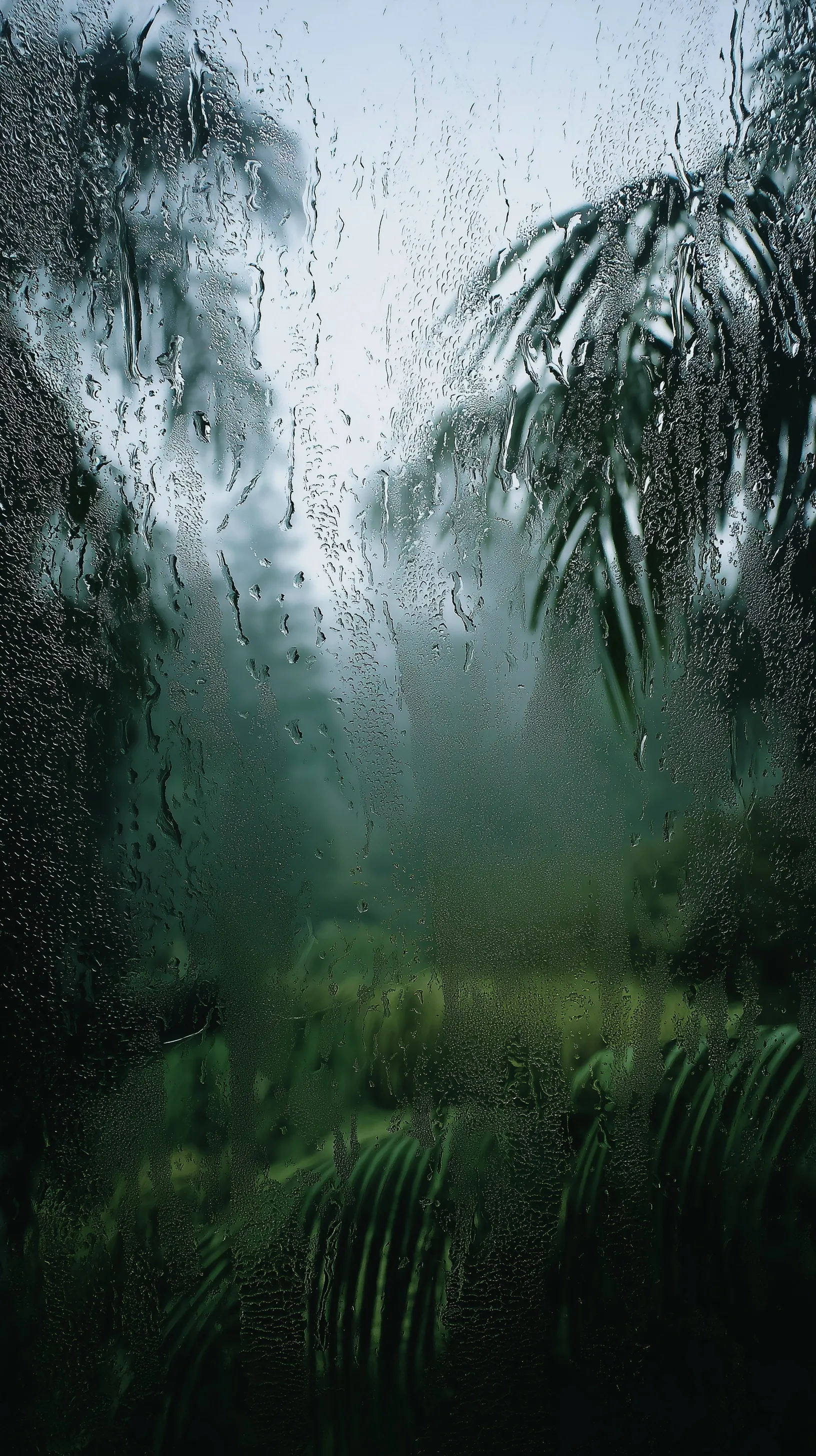 A human palm print on a fogged window overlooking a lush green forest under a dark, moody storm sky.
