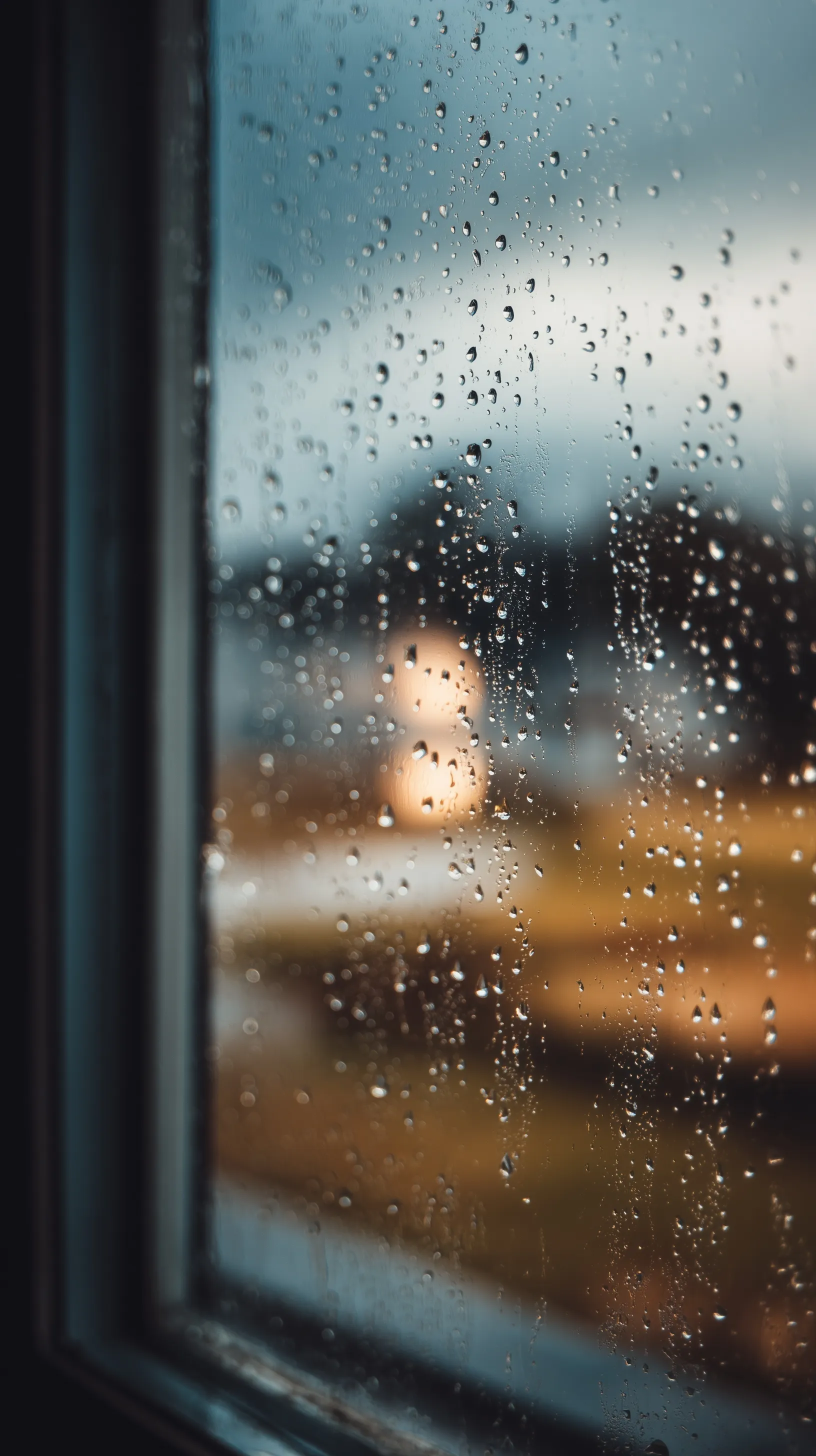Realistic raindrops on a windowpane during a calm, moody rainy morning with soft natural light.