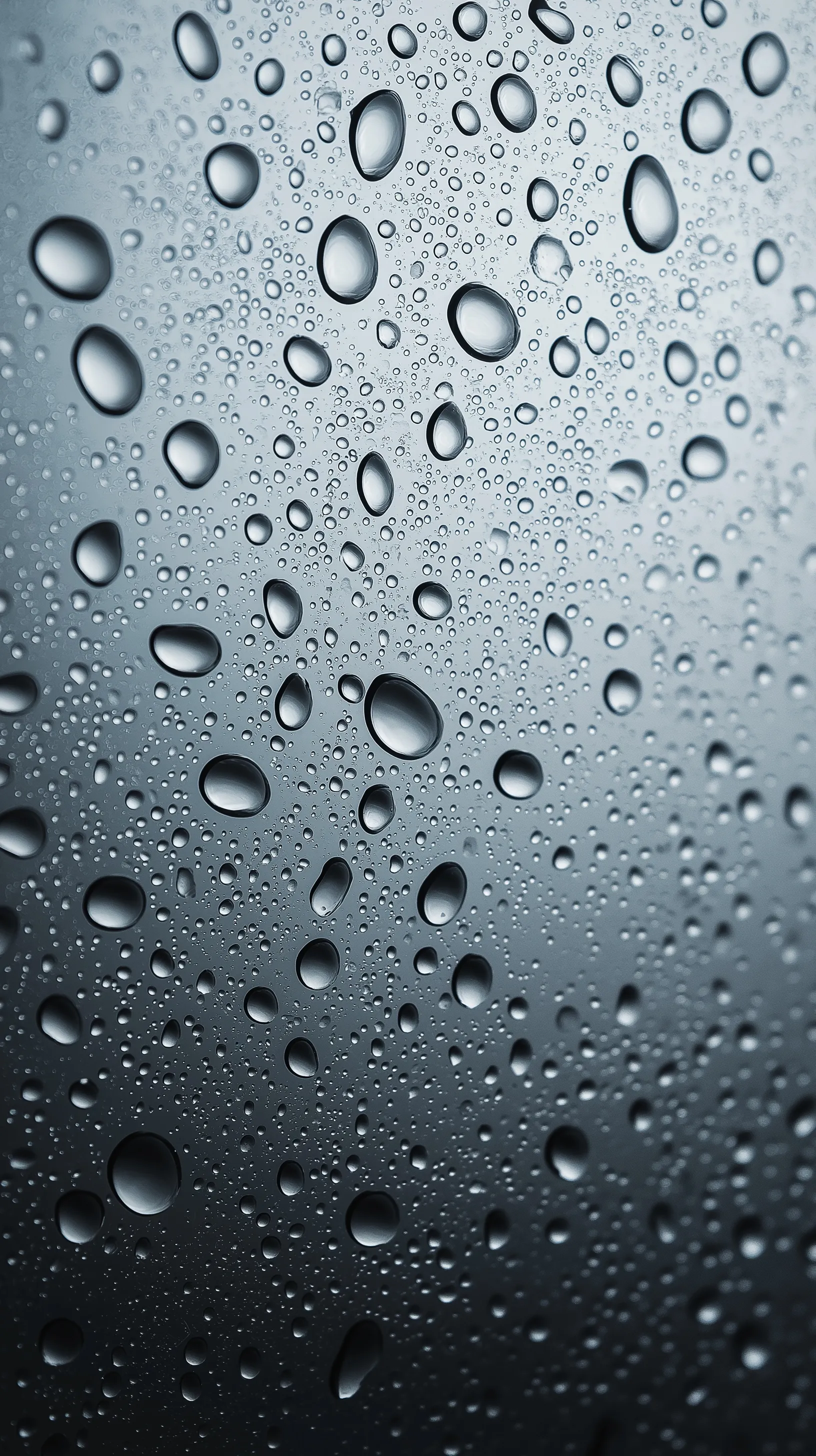Small, uniform raindrops condensed on a clean gray glass surface with soft, even lighting.