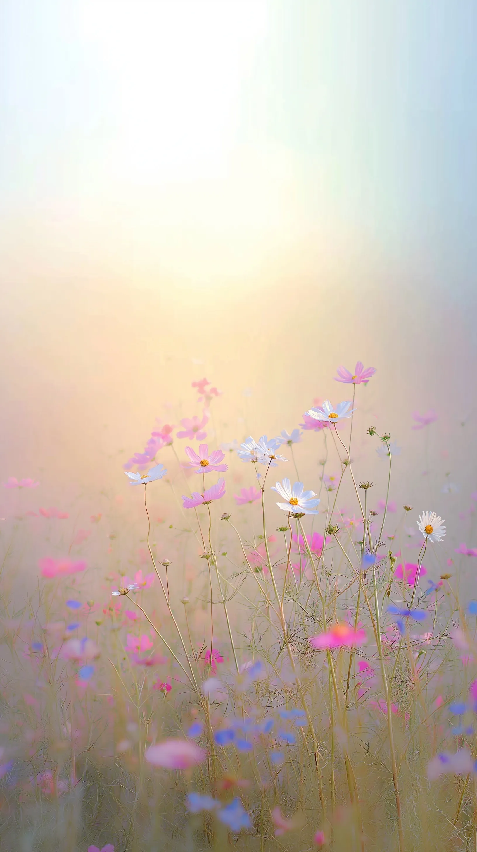 Soft Pastel Spring Floral Wallpaper 25
