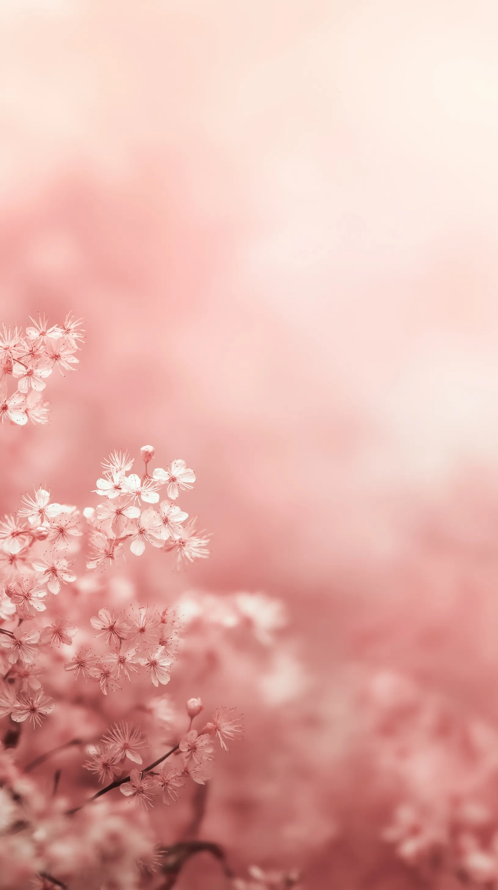 Soft Pastel Spring Floral Wallpaper 38