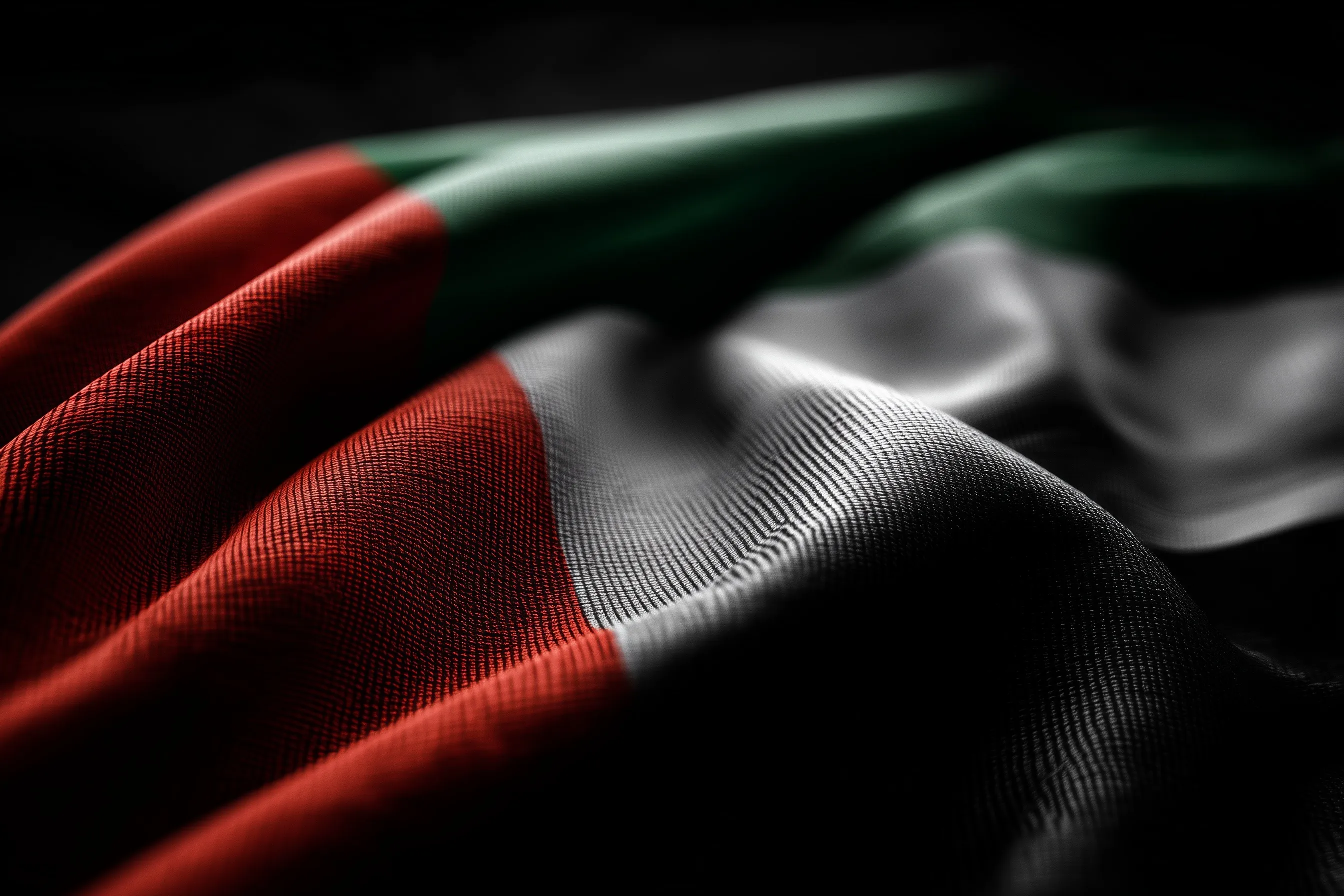 Uae Dubai Flag 9