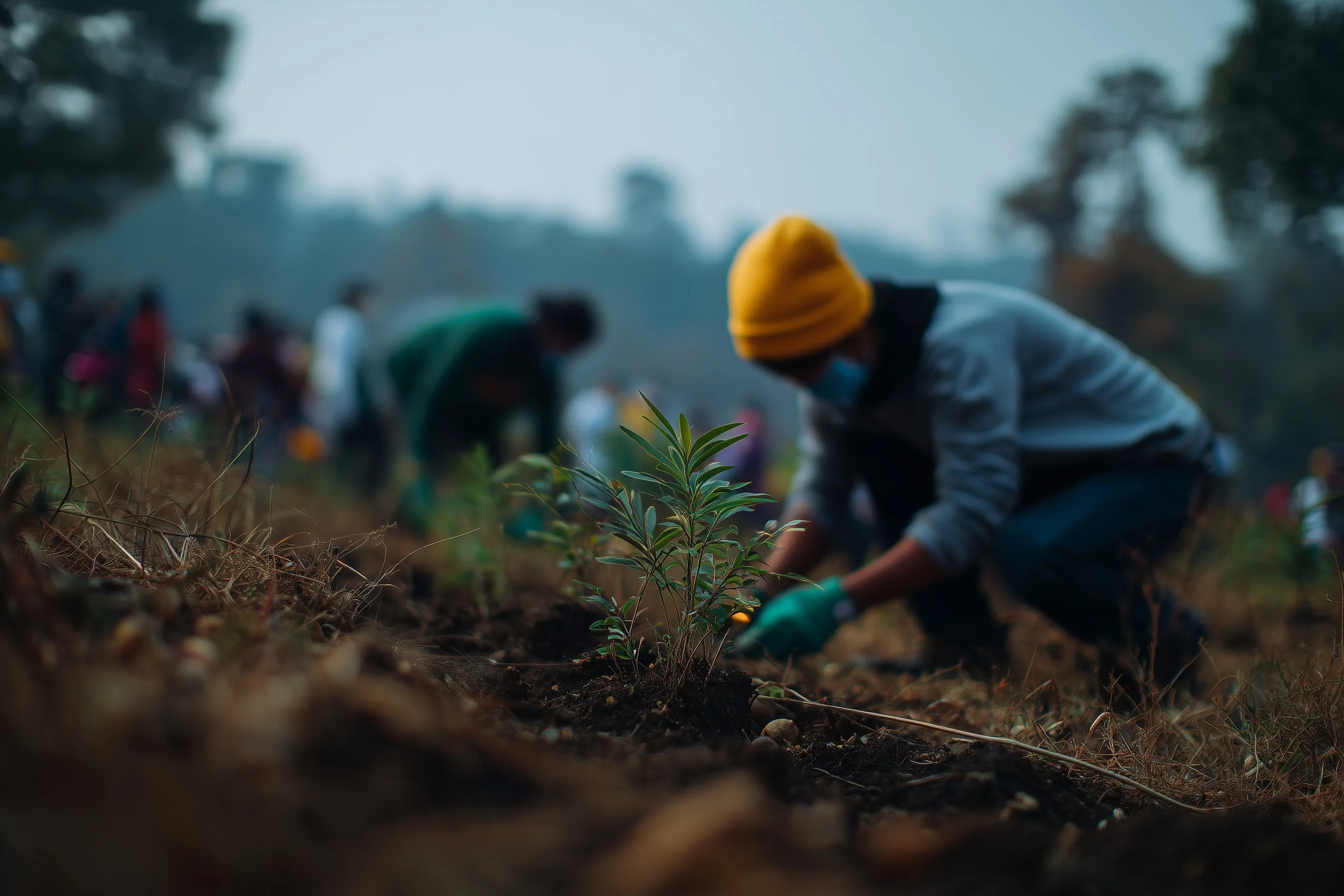 A diverse team of volunteers planting young trees on a hillside to support reforestation and environmental care.