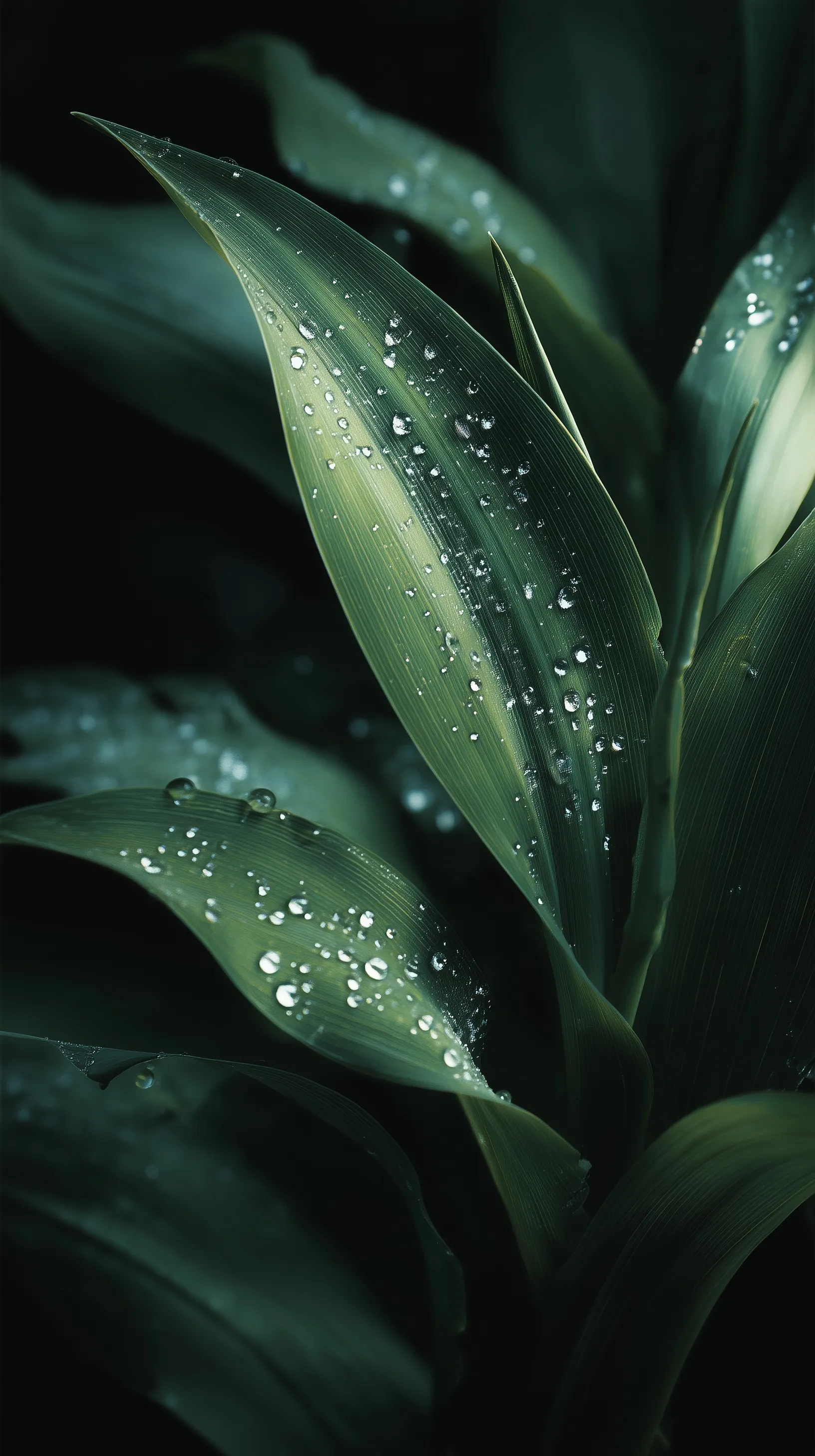 Extreme close-up of emerald green tropical leaf with dew drops, featuring sharp details and cinematic lighting.